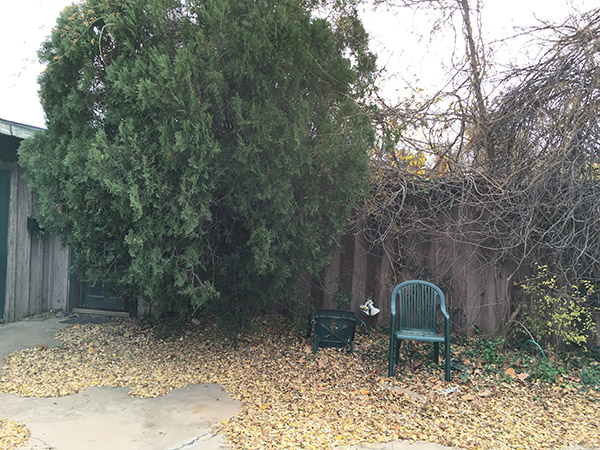 exterior before