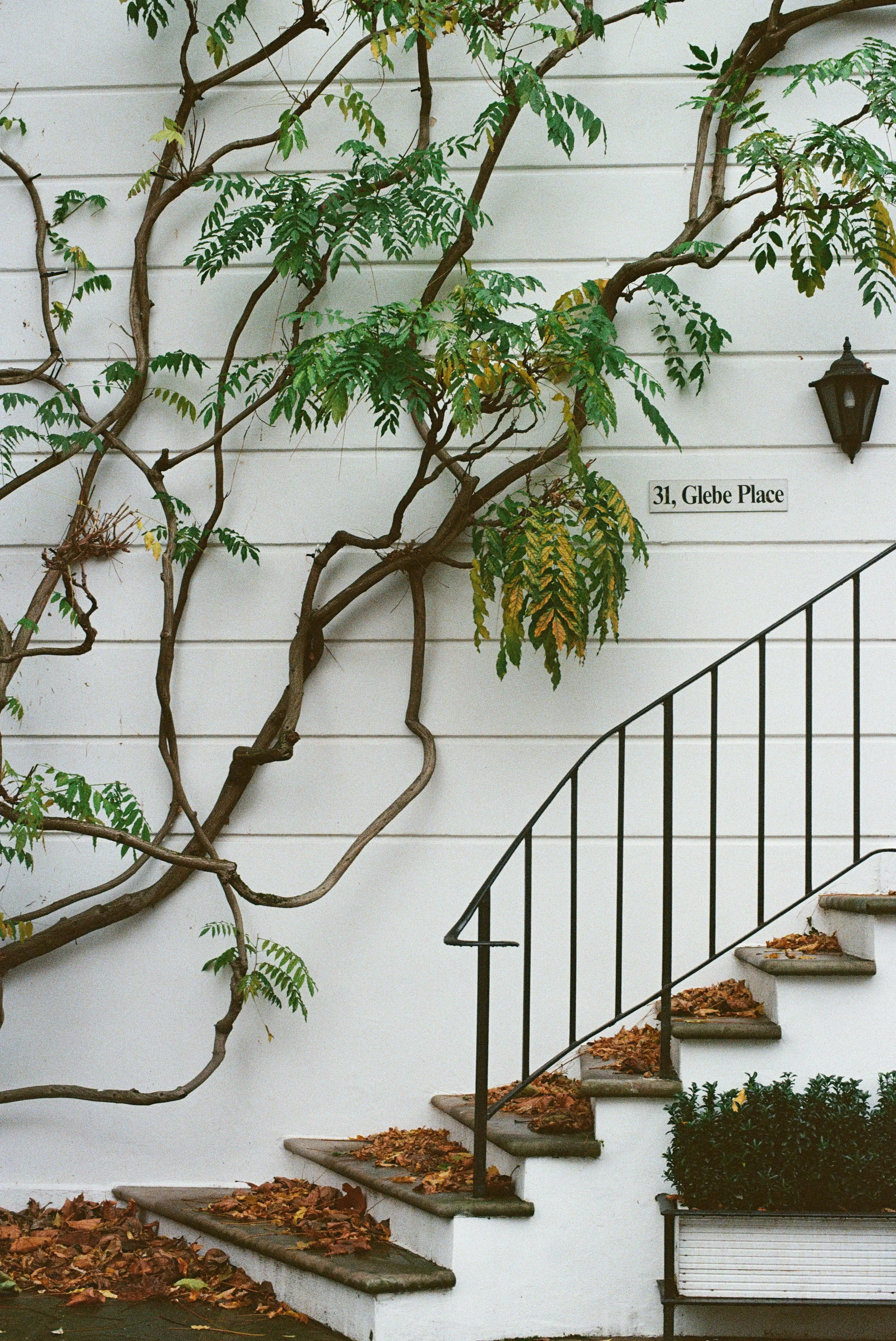 21 scans edited-3.jpg