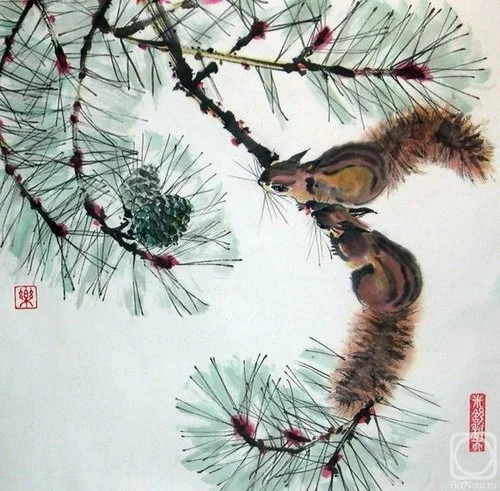 Pine+tree+branches+8.jpg