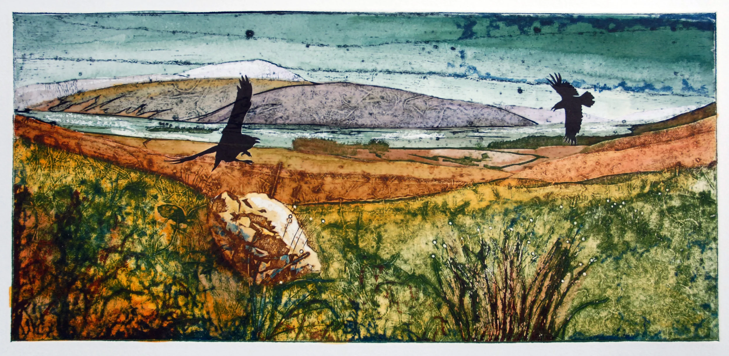 collagraph 2.jpg