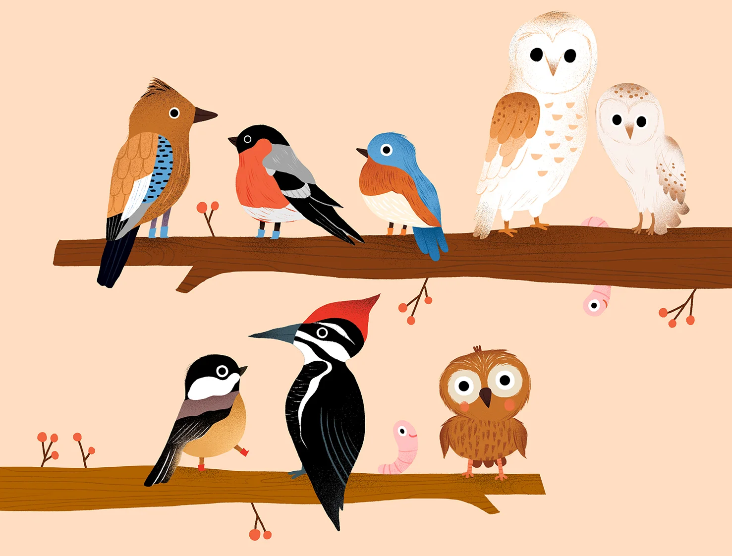 Birds on branches auzou 1.jpg