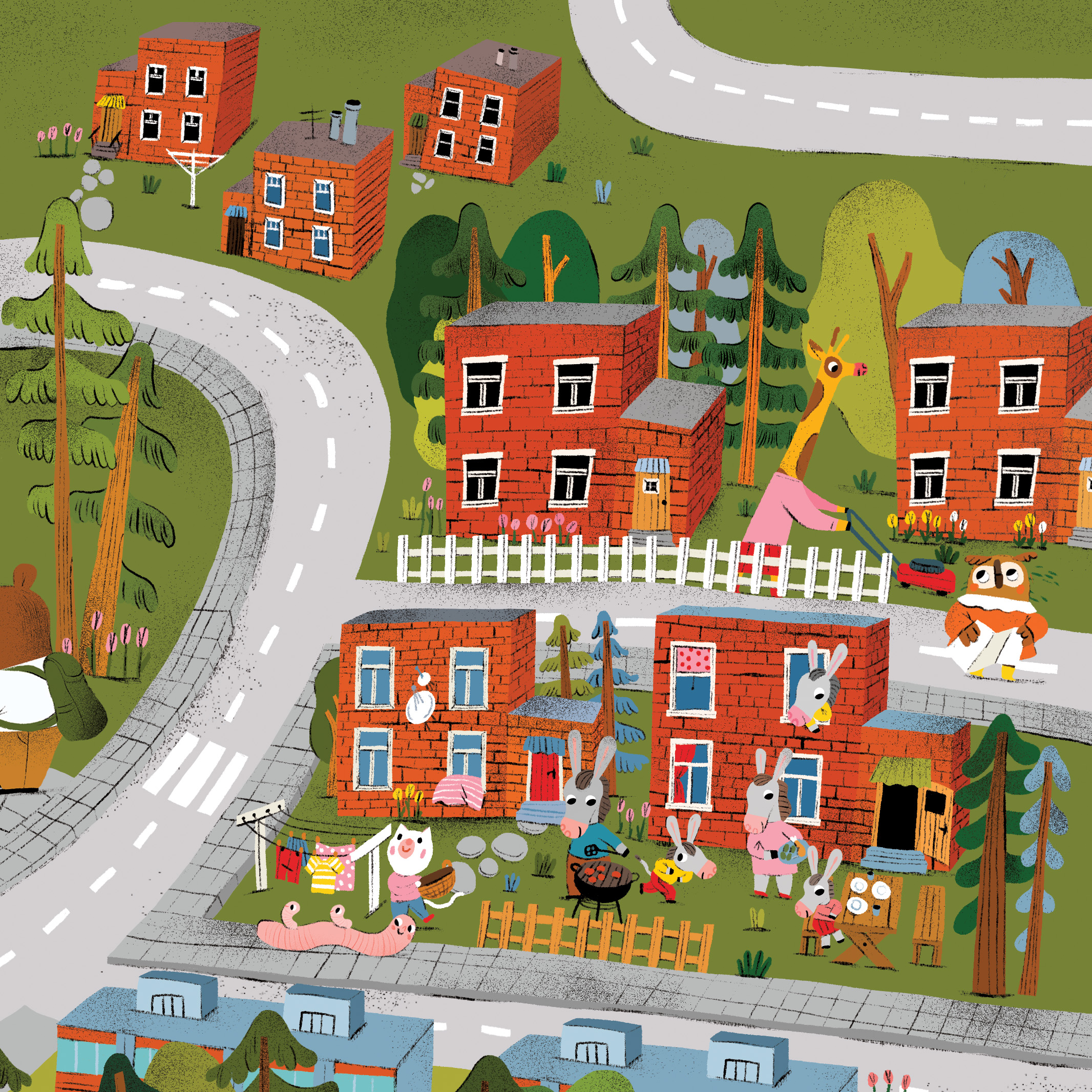 09 ZLIN illo web.jpg