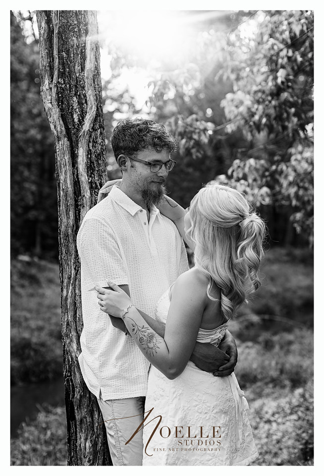 NSI_4322 BW.png