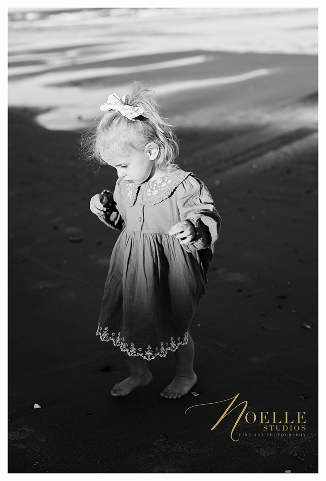 NSI_2352 BW.png