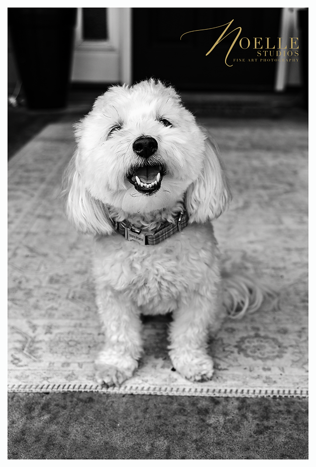 NSI_6093 BW.png