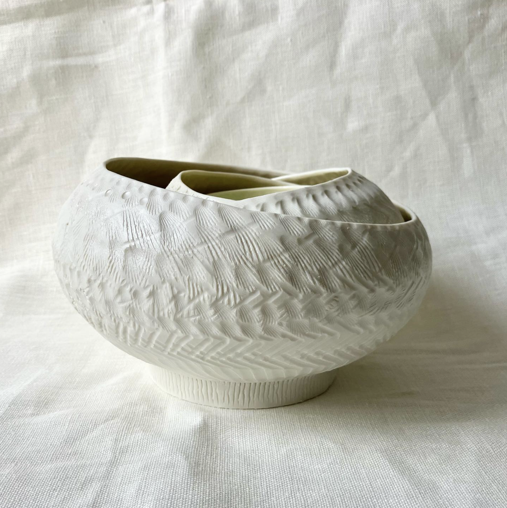 Lepidop-Terra Ubu Quatuor