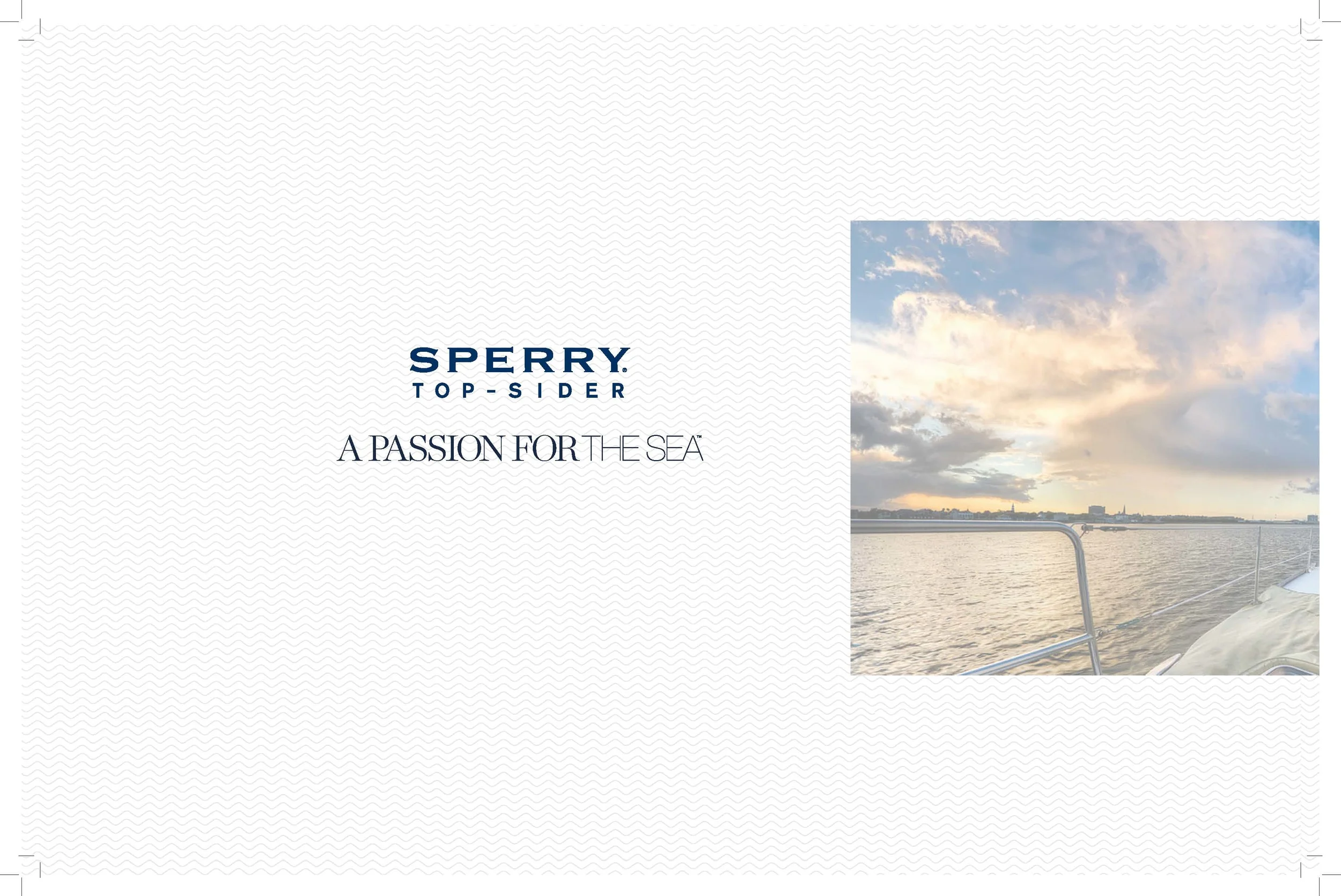 WSperry_SP15[1]_Page_02.jpg