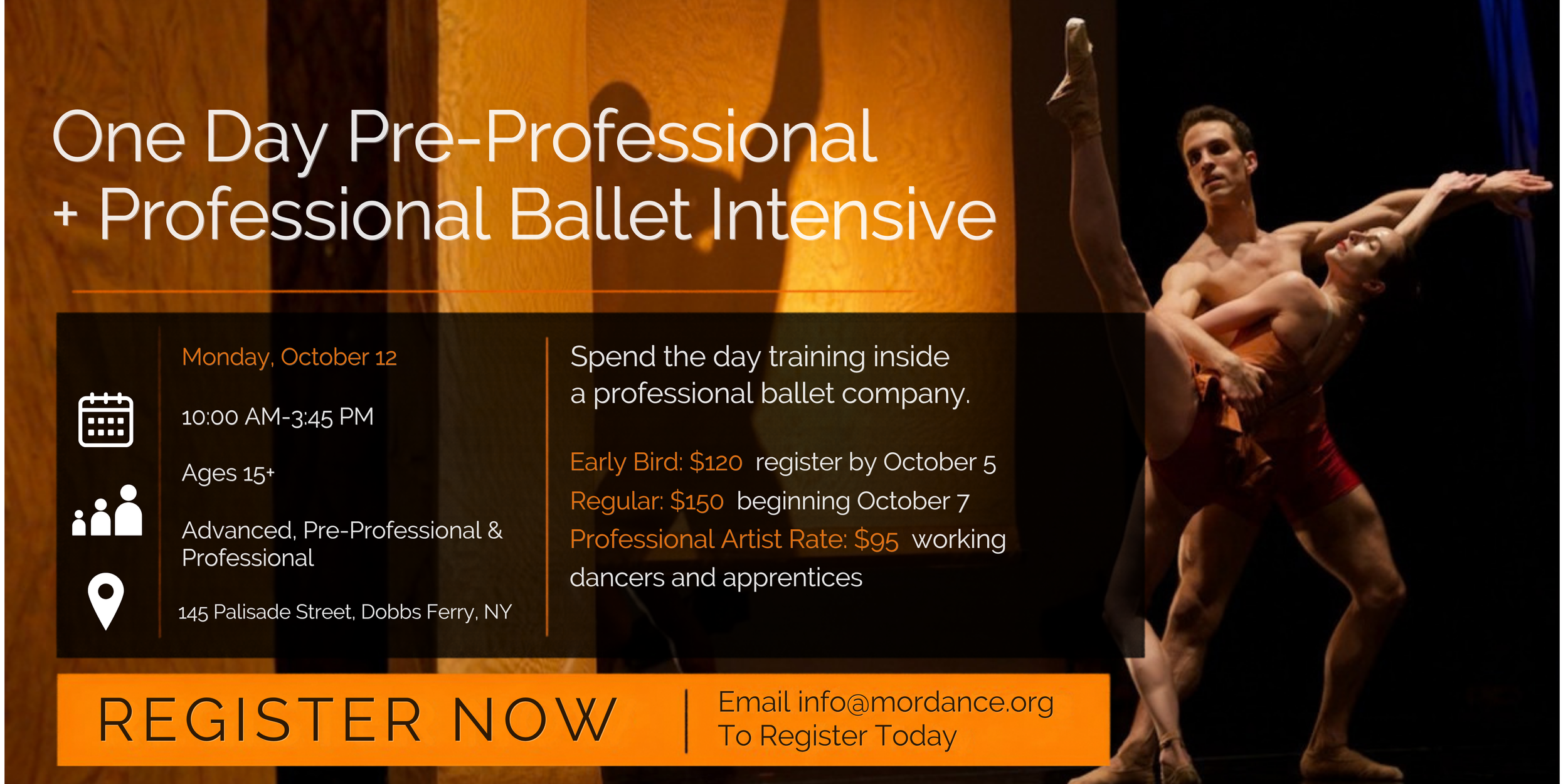 One Day  Pre-Professional  + Professional Ballet Intensive
