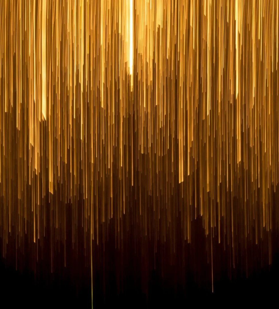 Gold Sponsorship