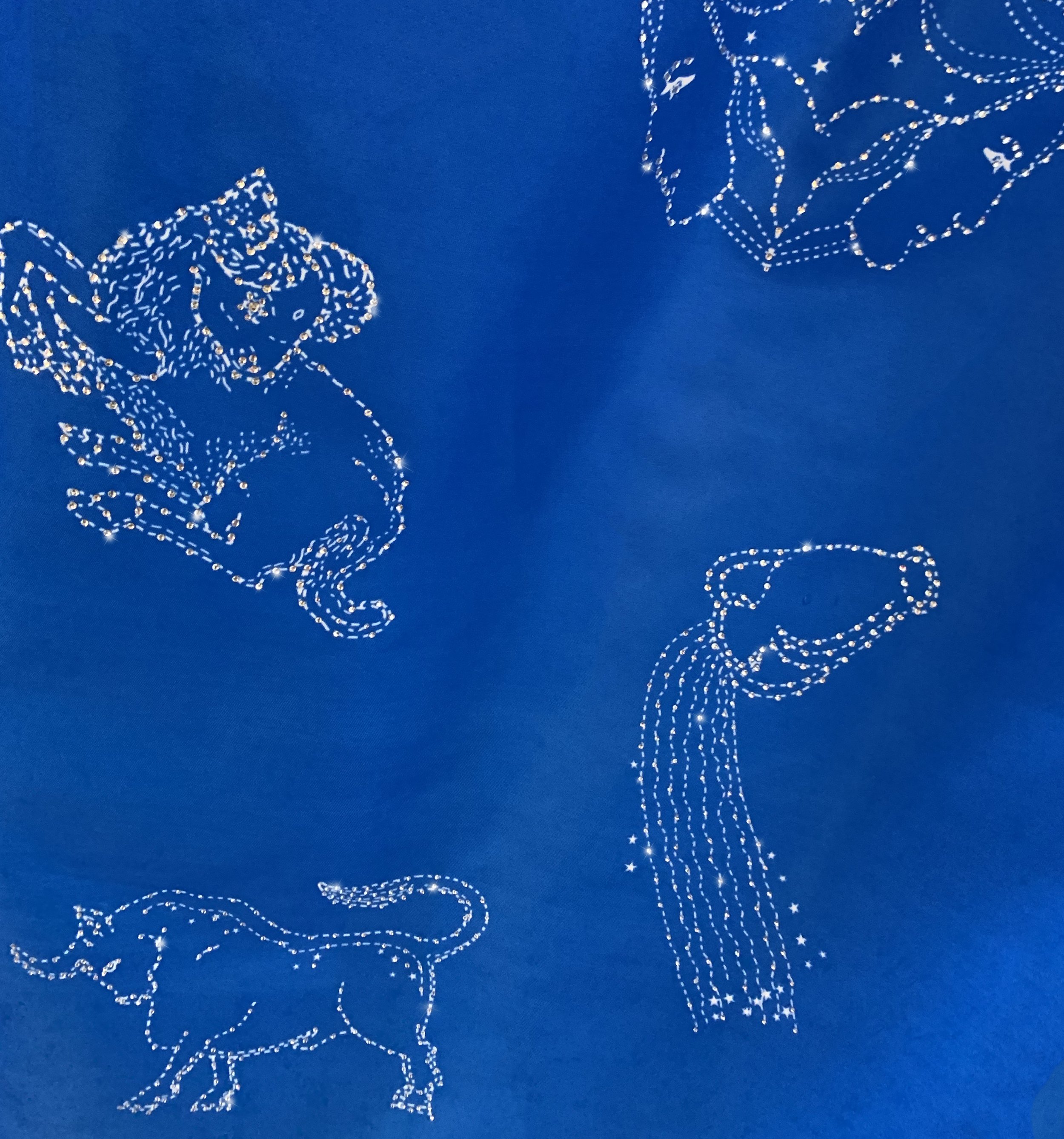 Zodiac Dress Detail 2.jpg