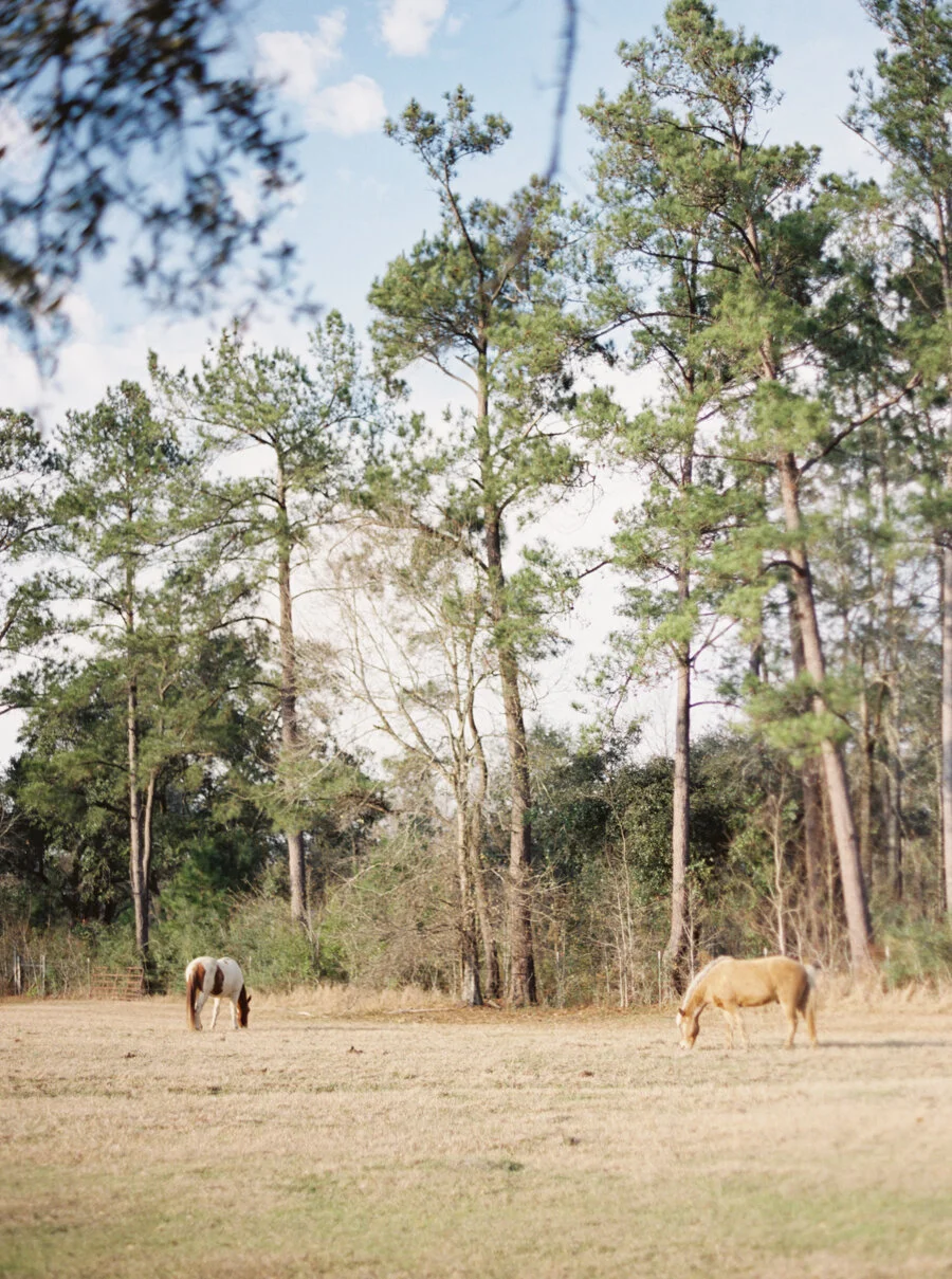 Gallery — Garrett Field