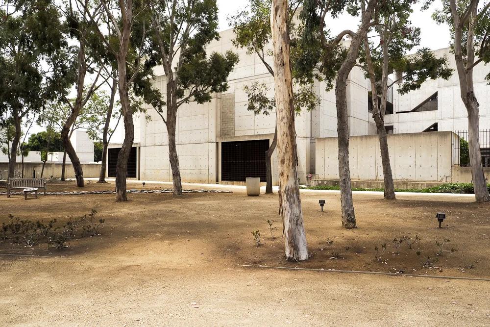 A grove of trees outside the complex of research buildings.
