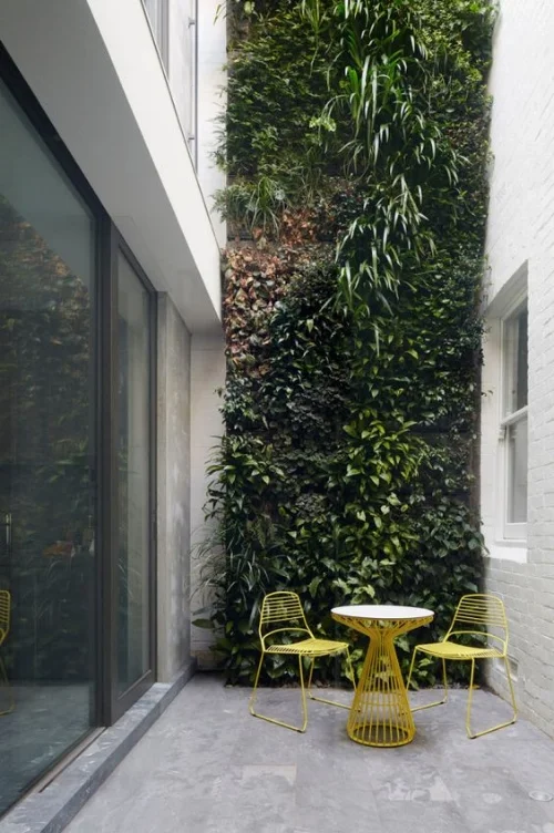 Plant-filled courtyard ( image source )