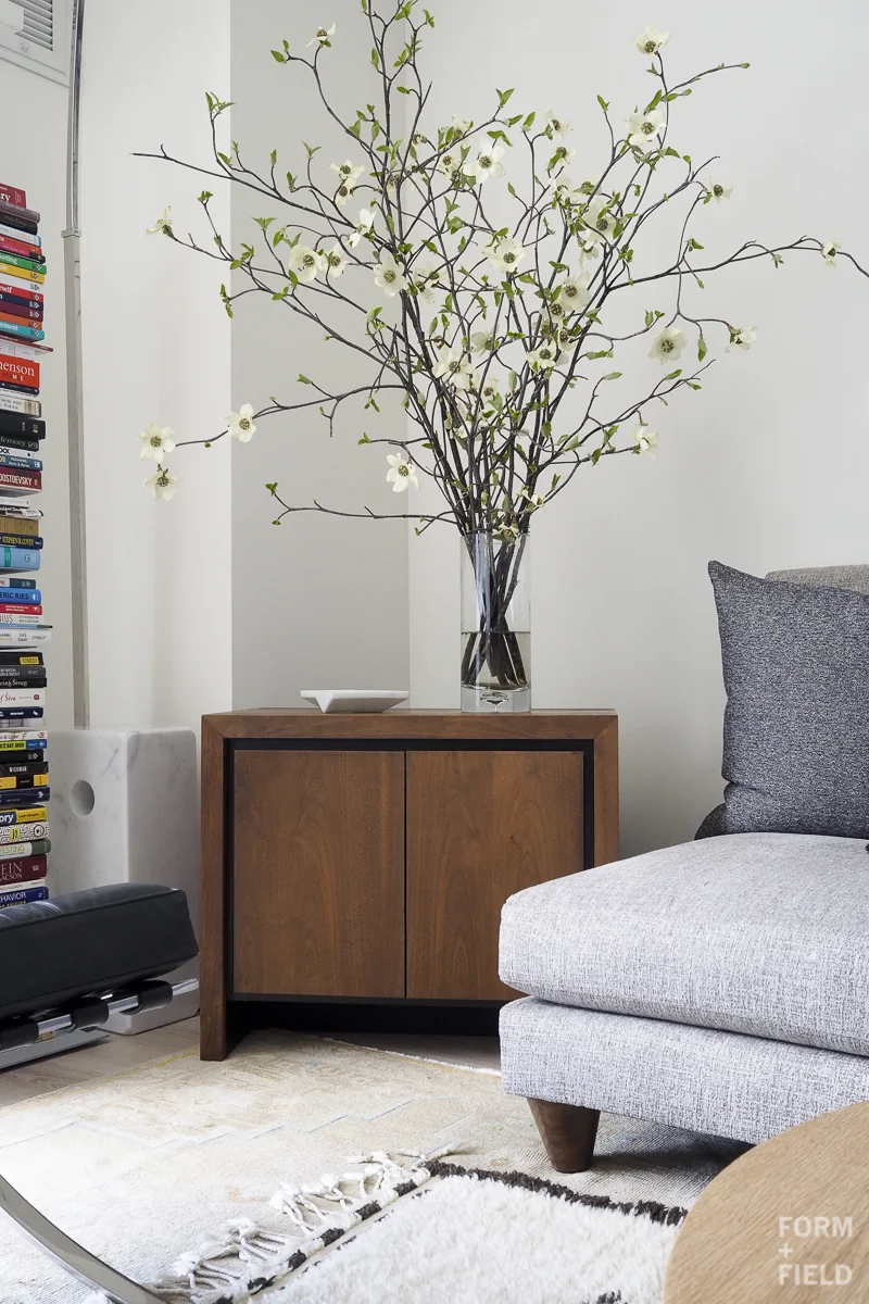 SOMA Modernist Condo Living Room Cabinet