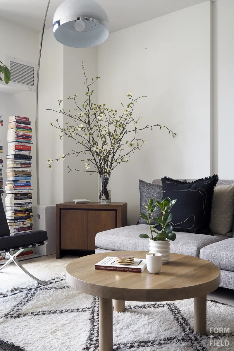 SOMA Modernist Condo Living Room
