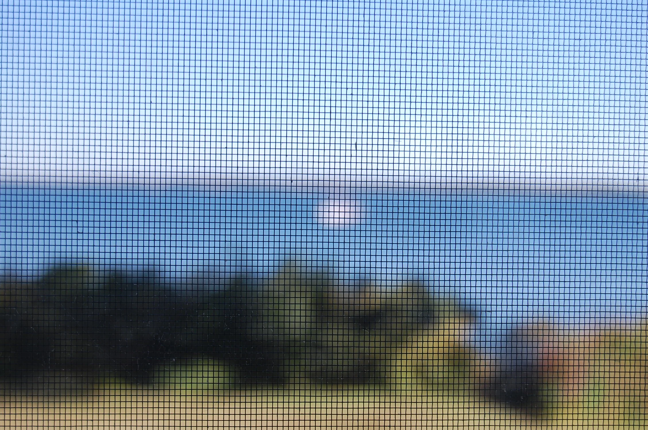 Screen. 5075530865.jpg