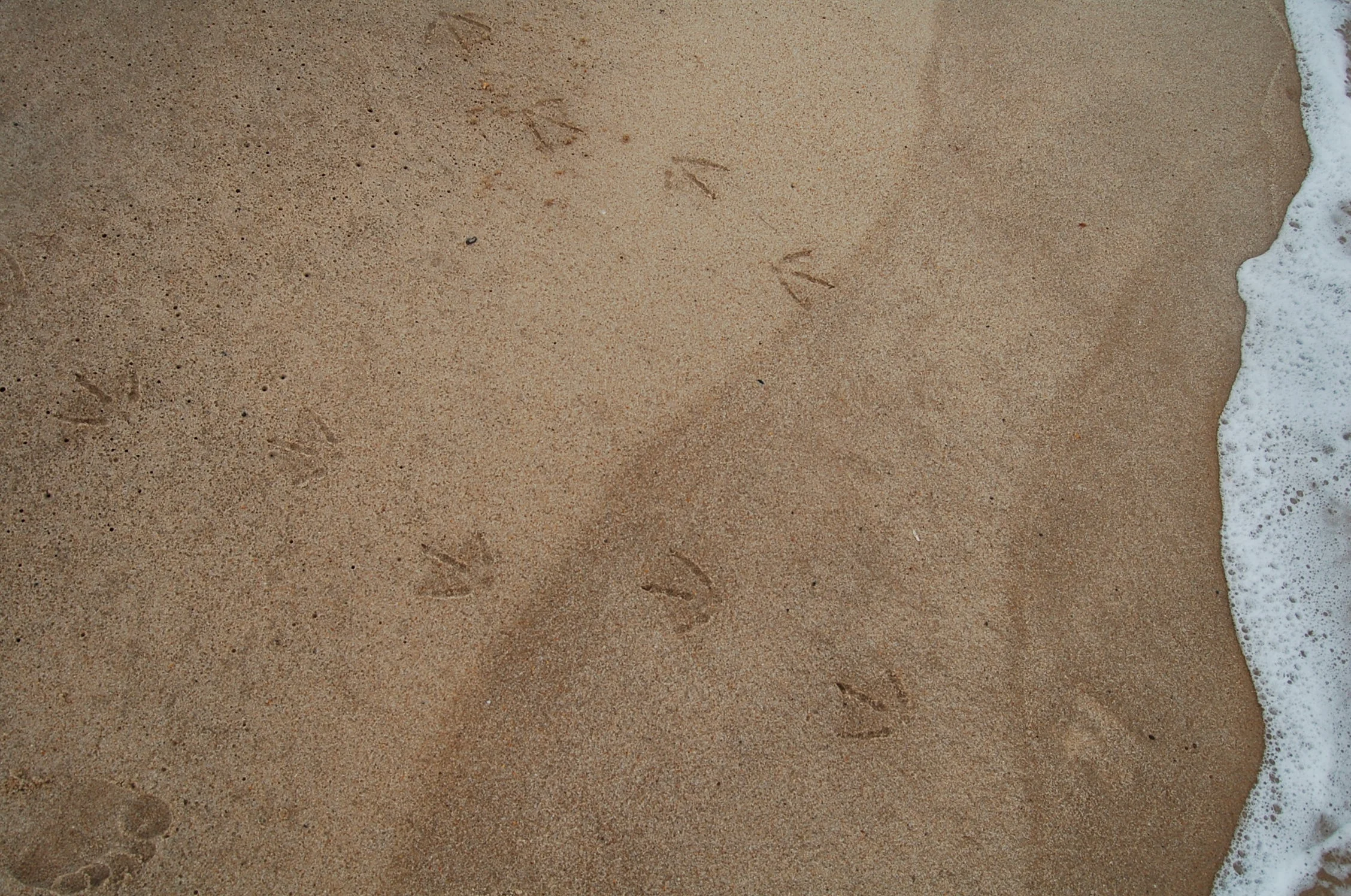 Imprint. 4927069604.jpg