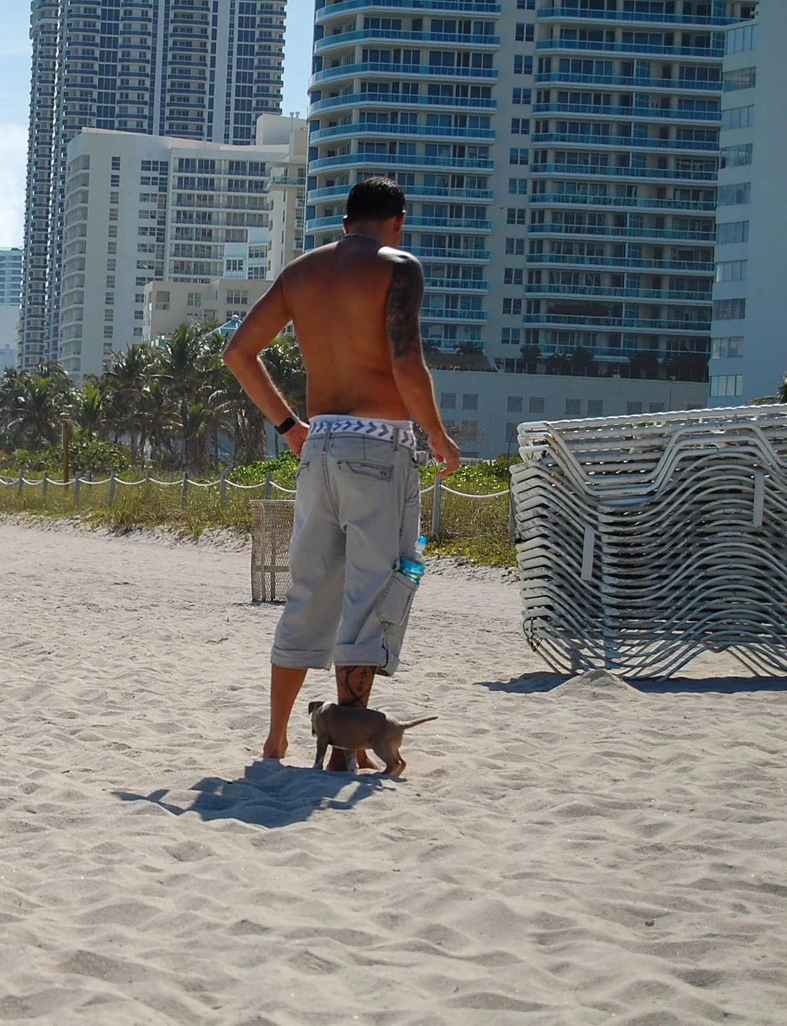 Sheba and Man. 5443329228.jpg