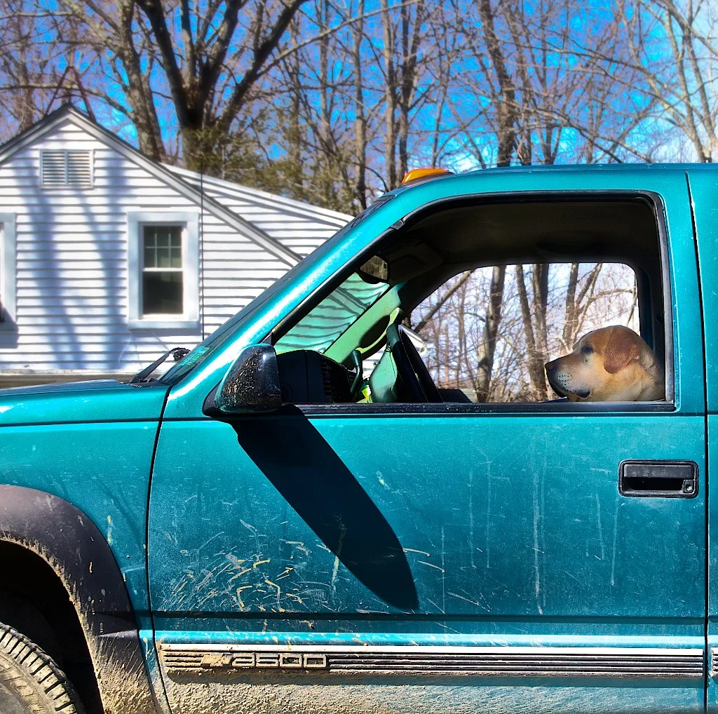 DSC_0162 13565762823.jpg