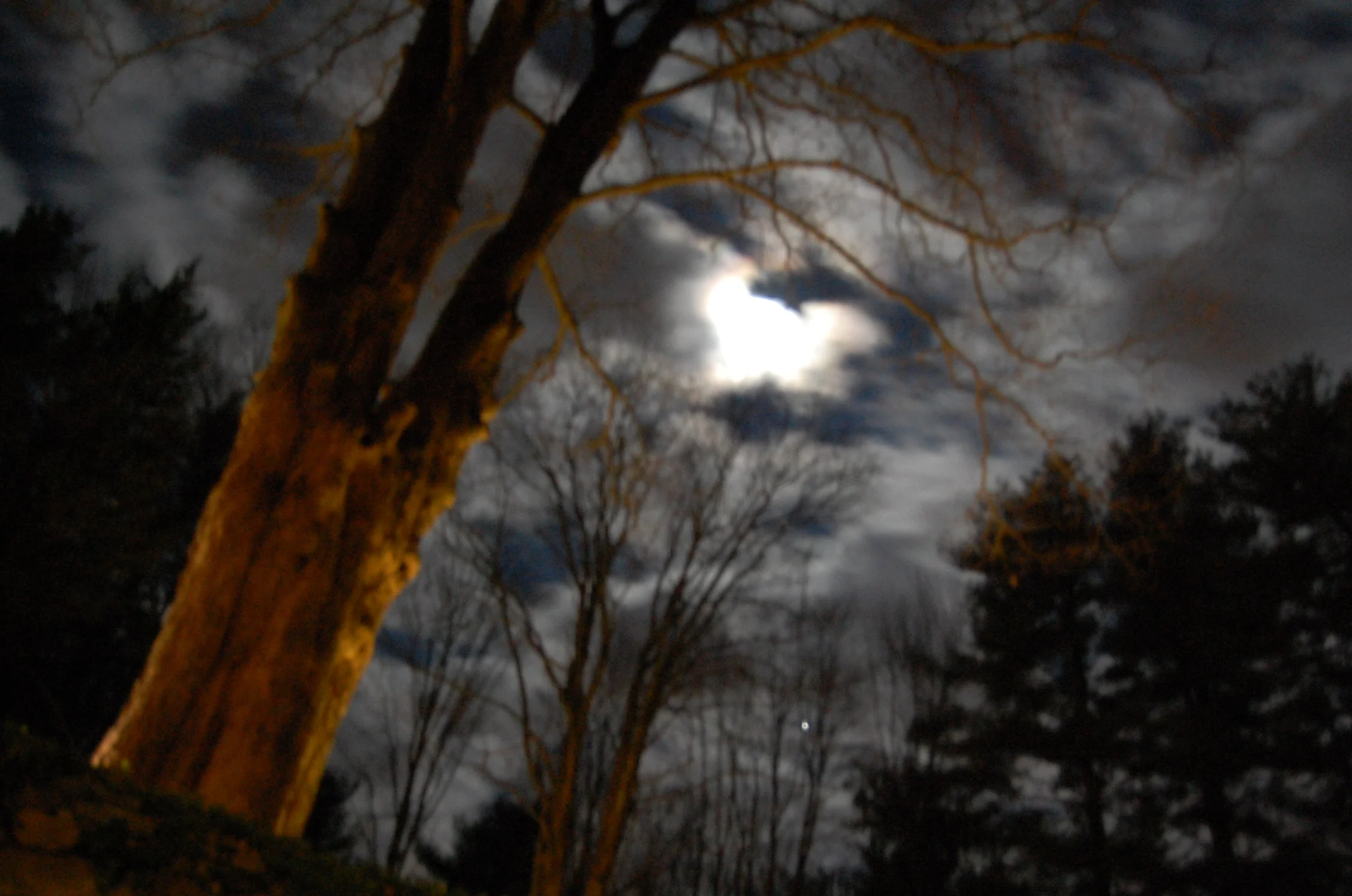 Moon Blurr. 5187201385.jpg