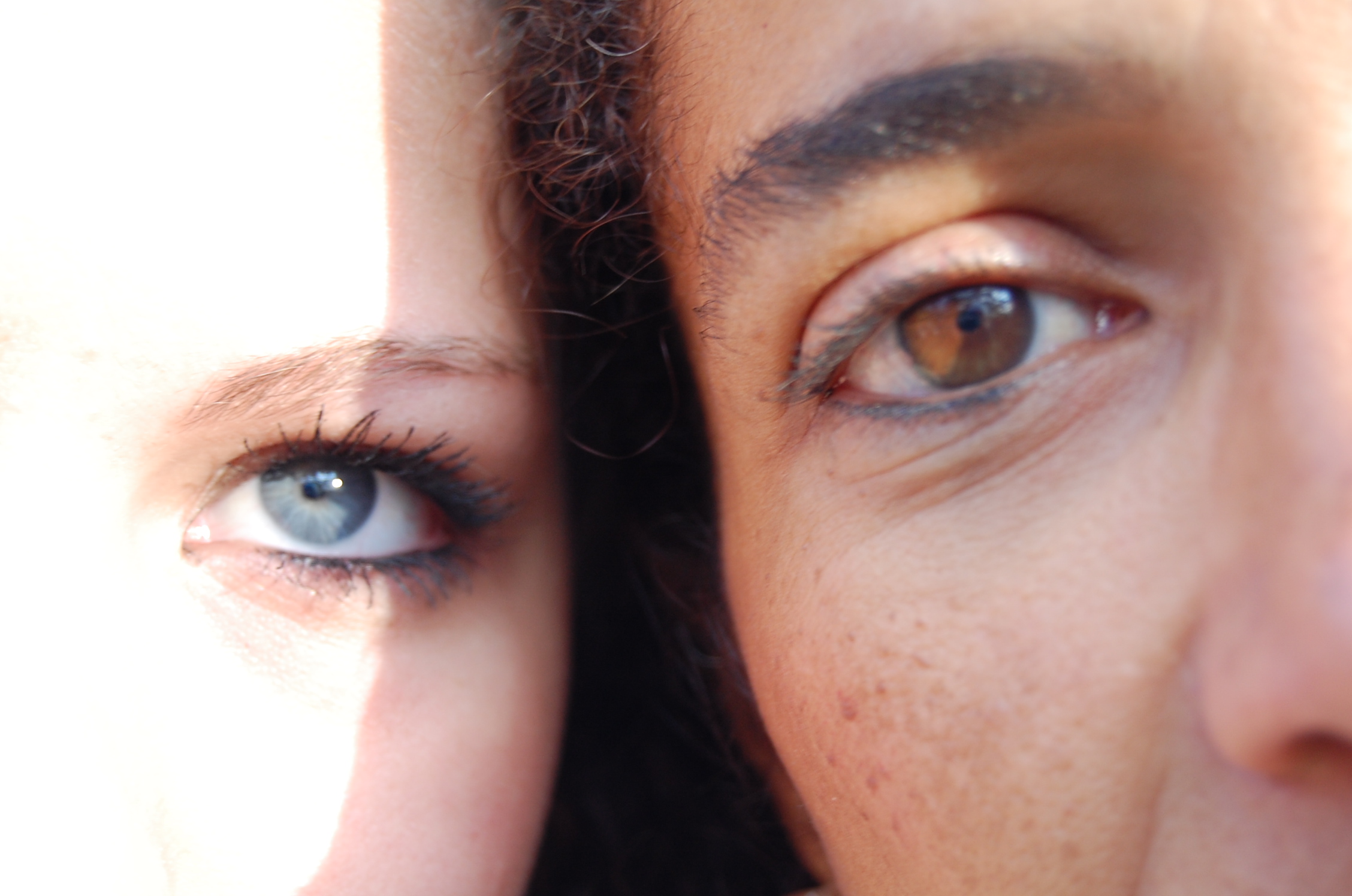 Brown & Blue. 5112015227.jpg