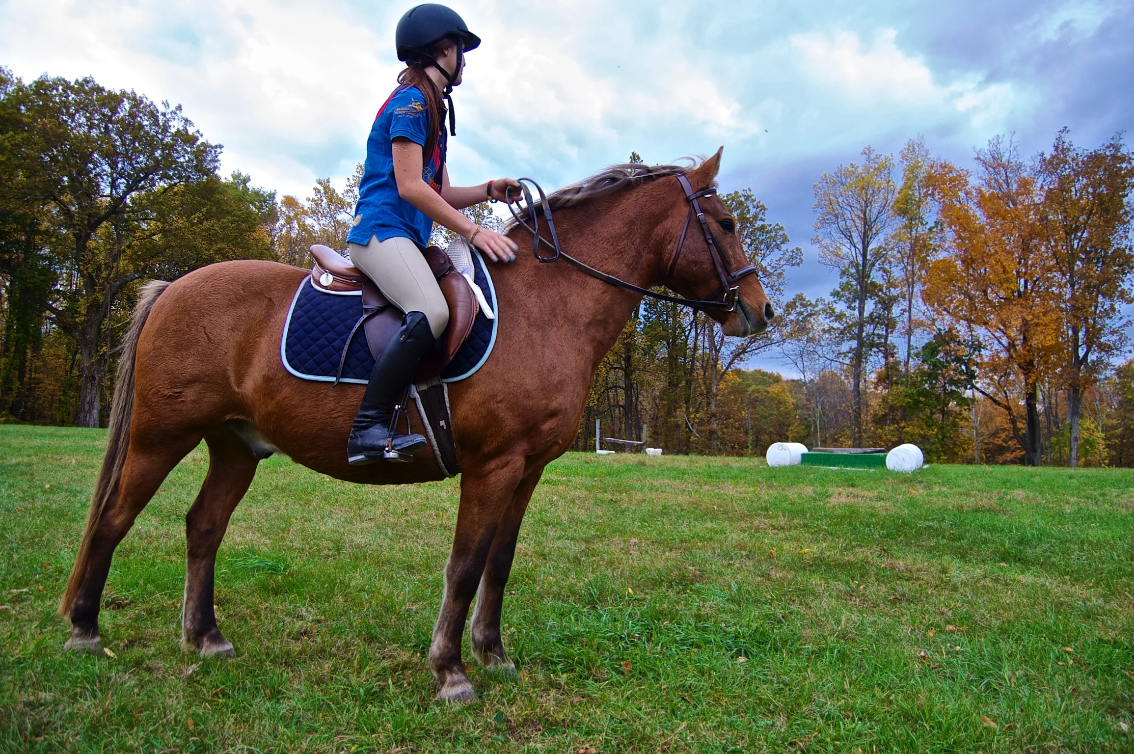 2014-10-18 at 05-24-47.jpg