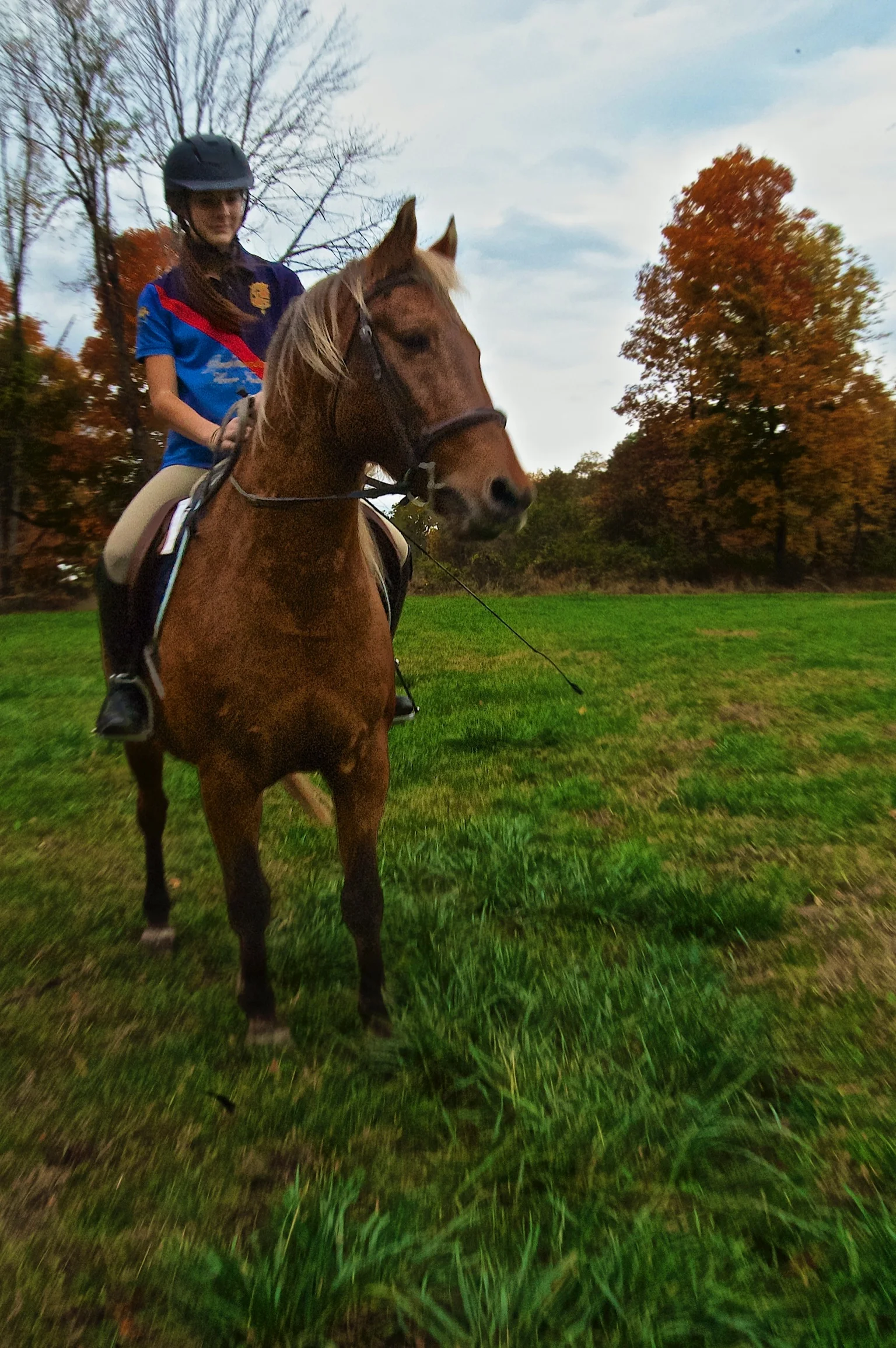 2014-10-18 at 05-18-36.jpg