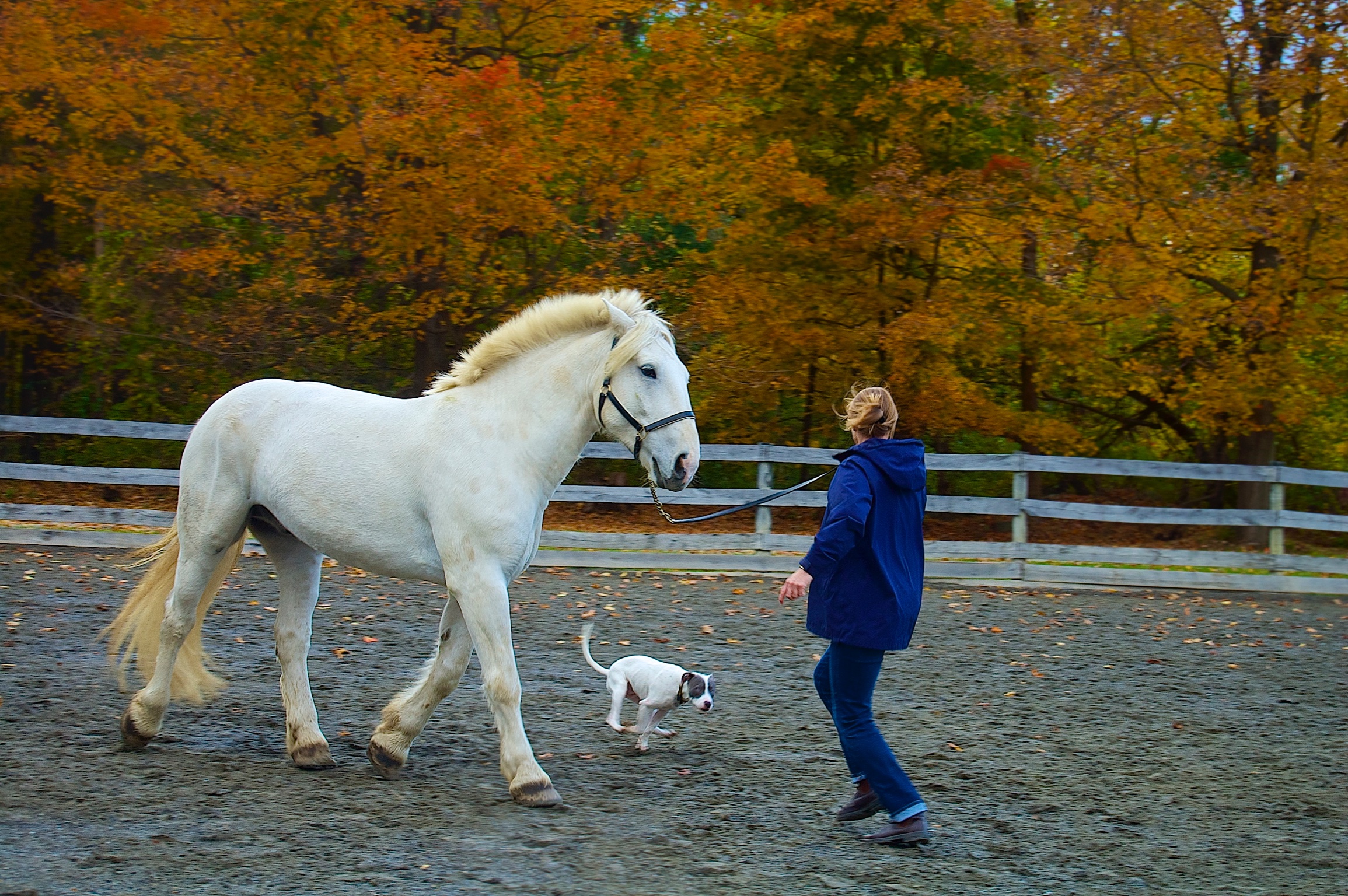 2014-10-18 at 06-03-35.jpg