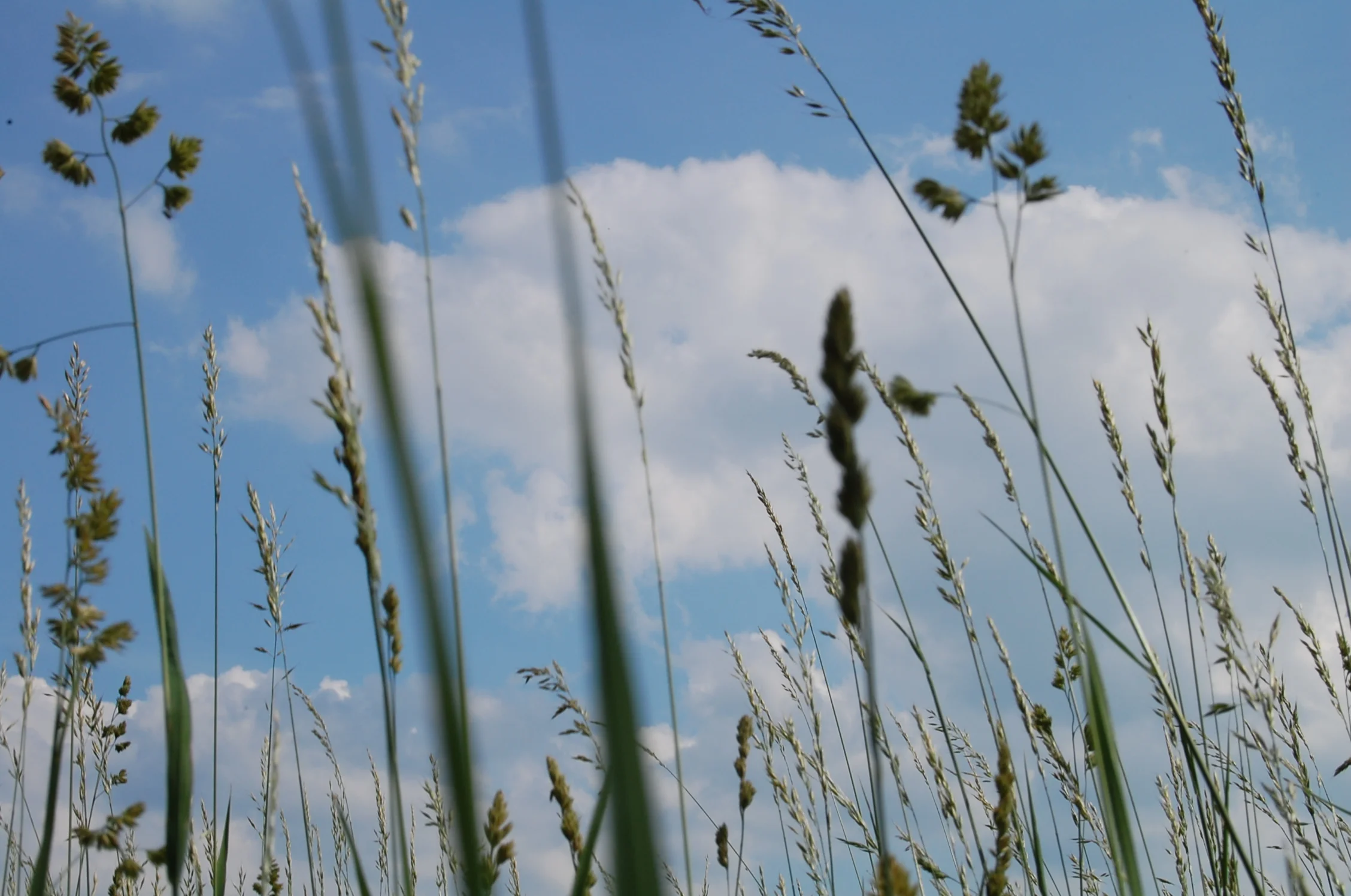 2010-06-03 at 04-26-42.jpg