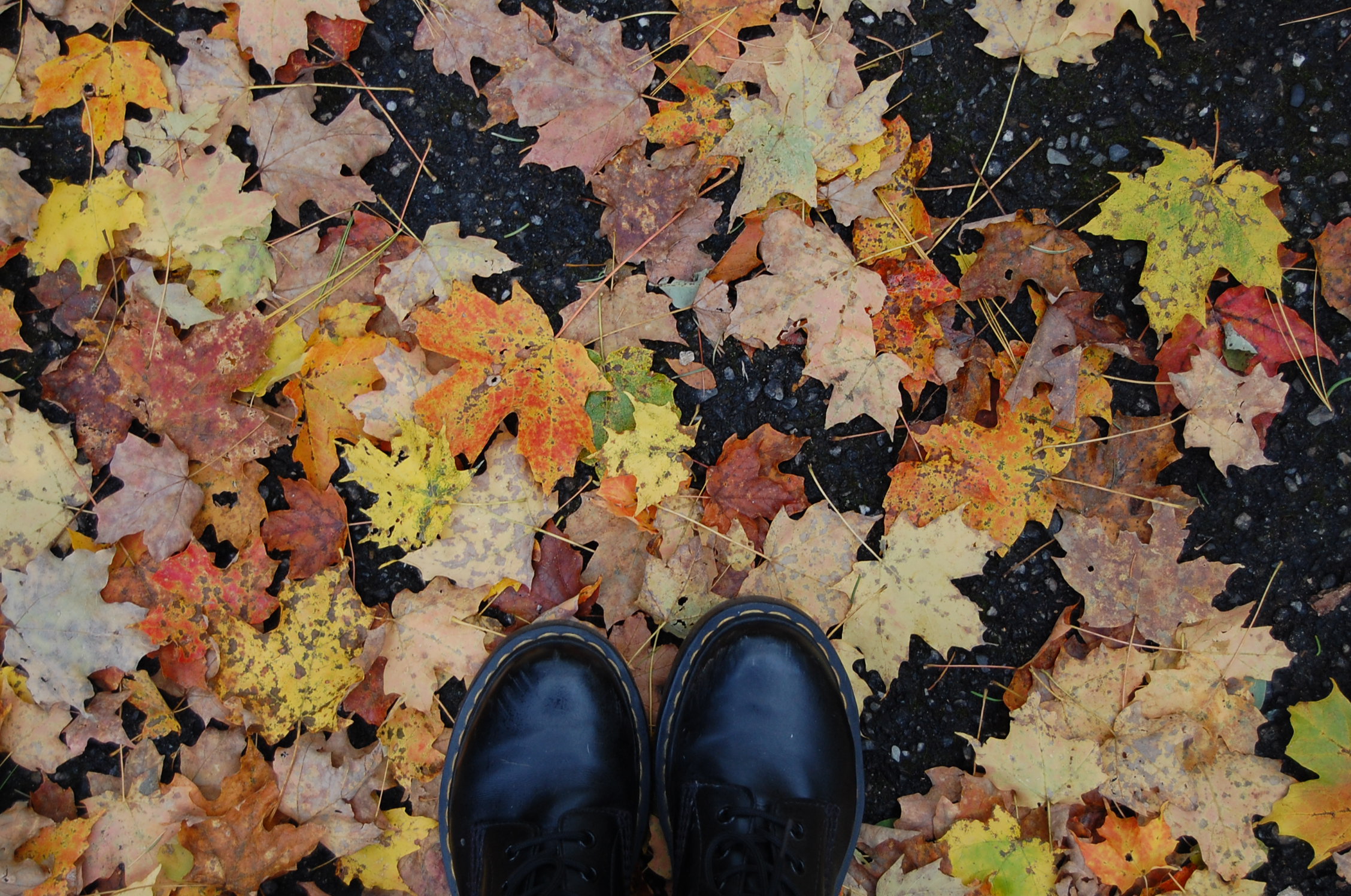 2010-10-15 at 04-49-14.jpg