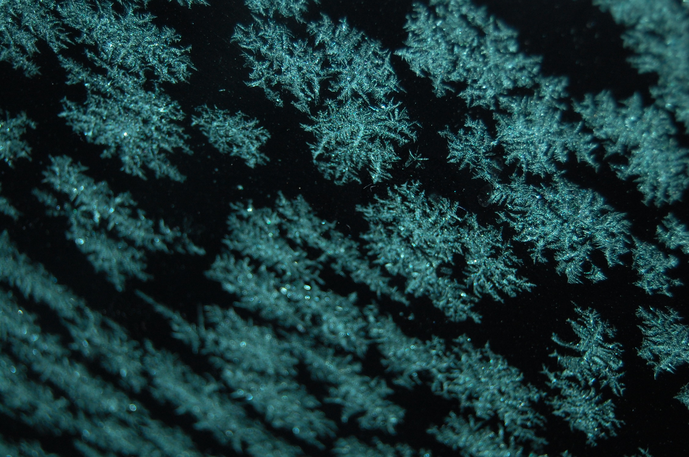 2010-12-09 at 19-59-54.jpg