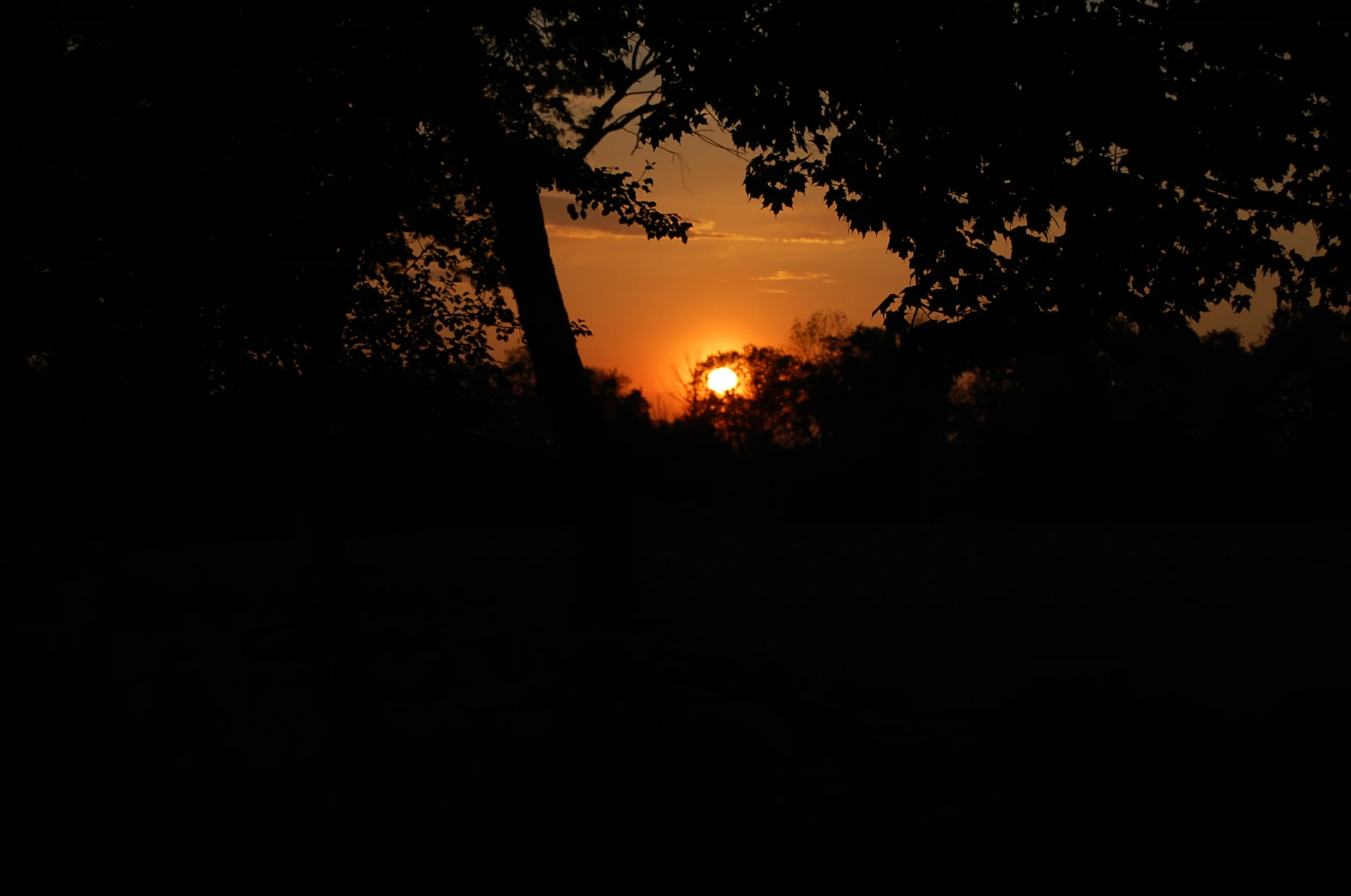 2011-05-24 at 08-33-02.jpg