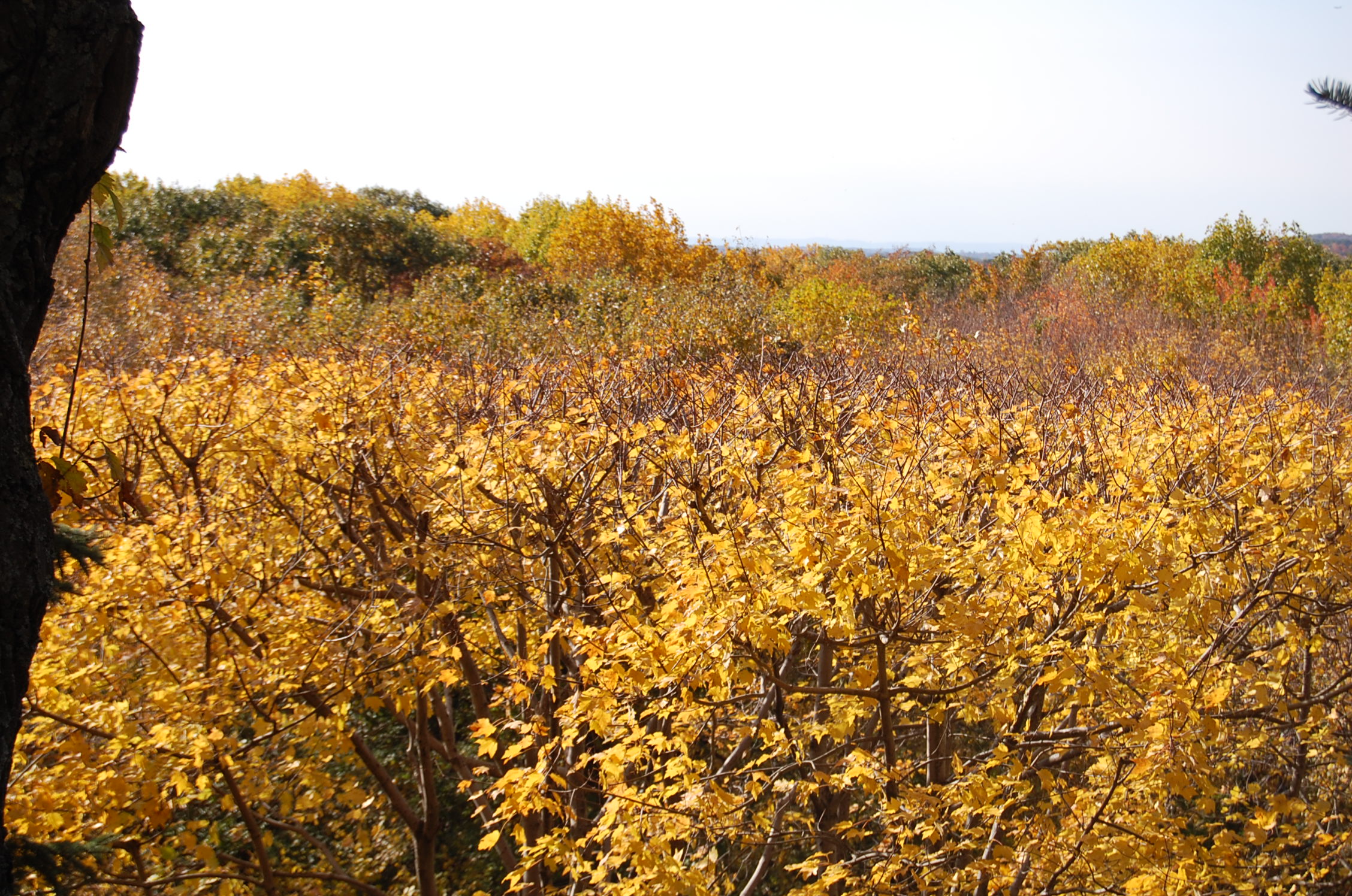 2010-10-23 at 03-12-07.jpg