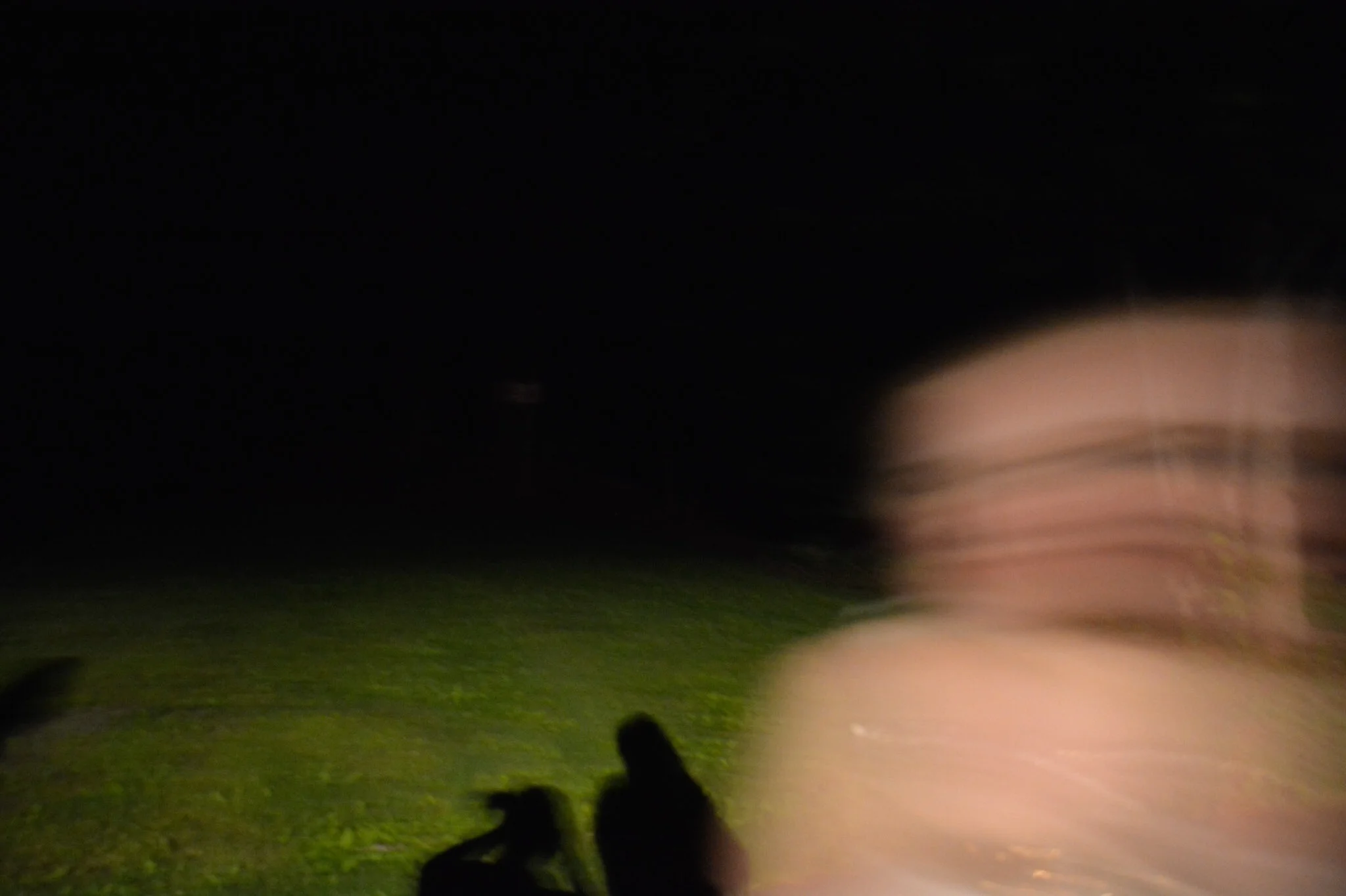 11336797_371859819686554_2611541465019591125_o.jpg