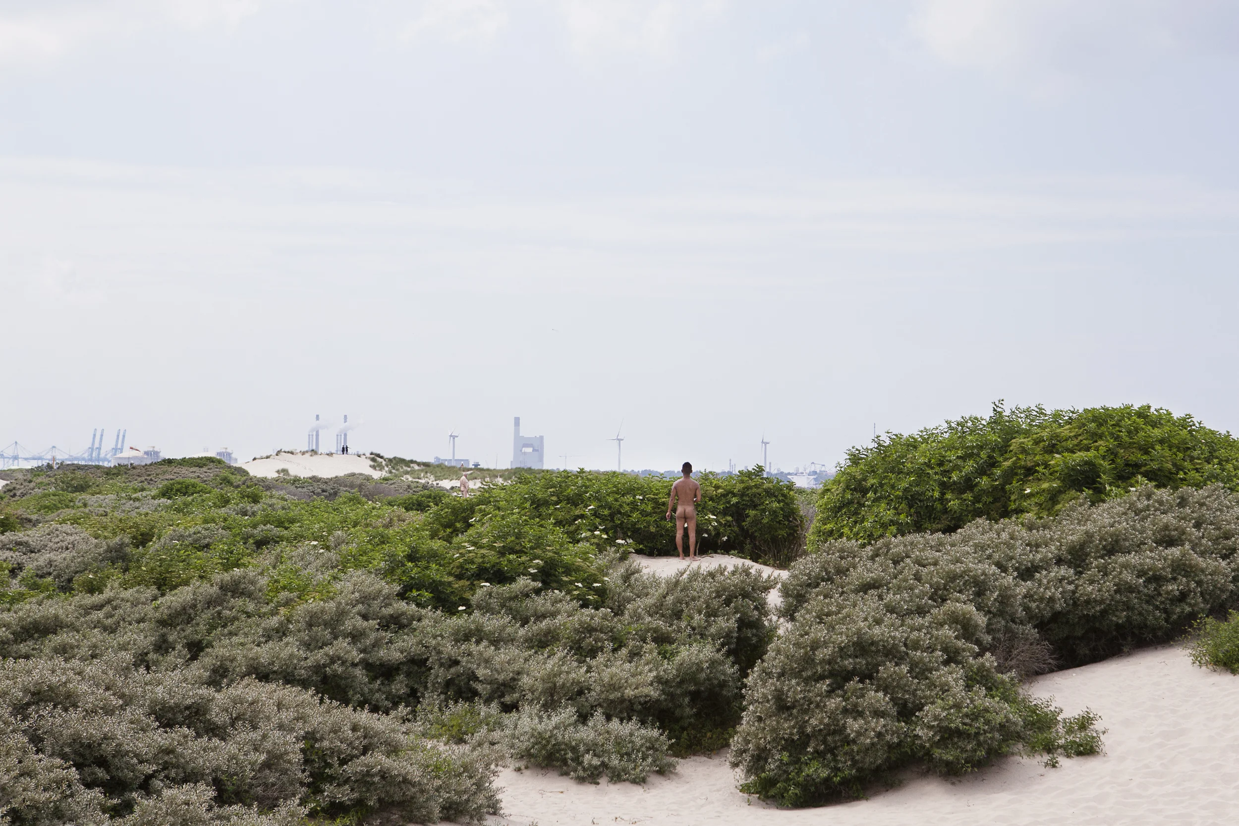 'De hoek' van Holland 