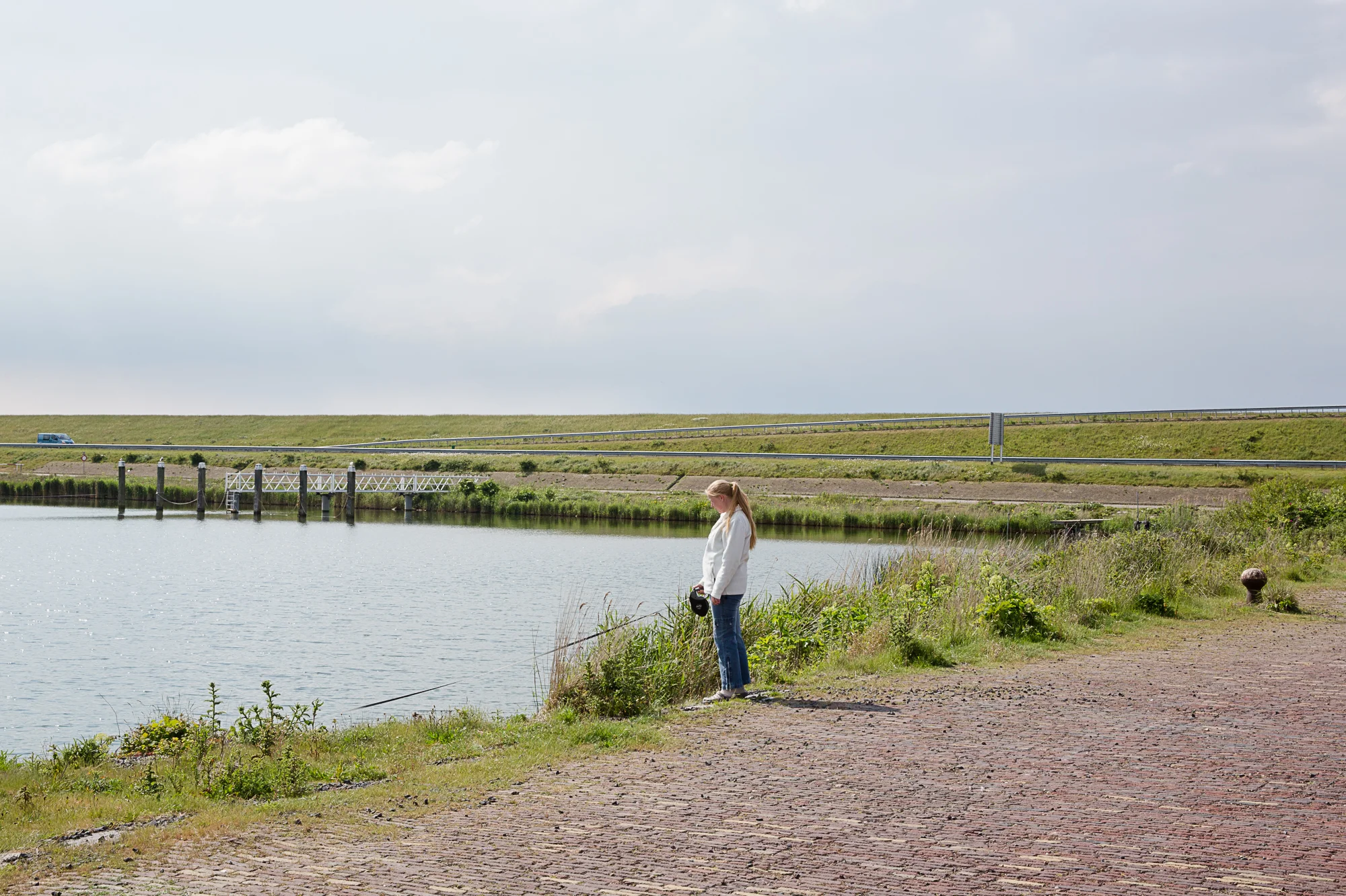 3_53A5604-.jpg