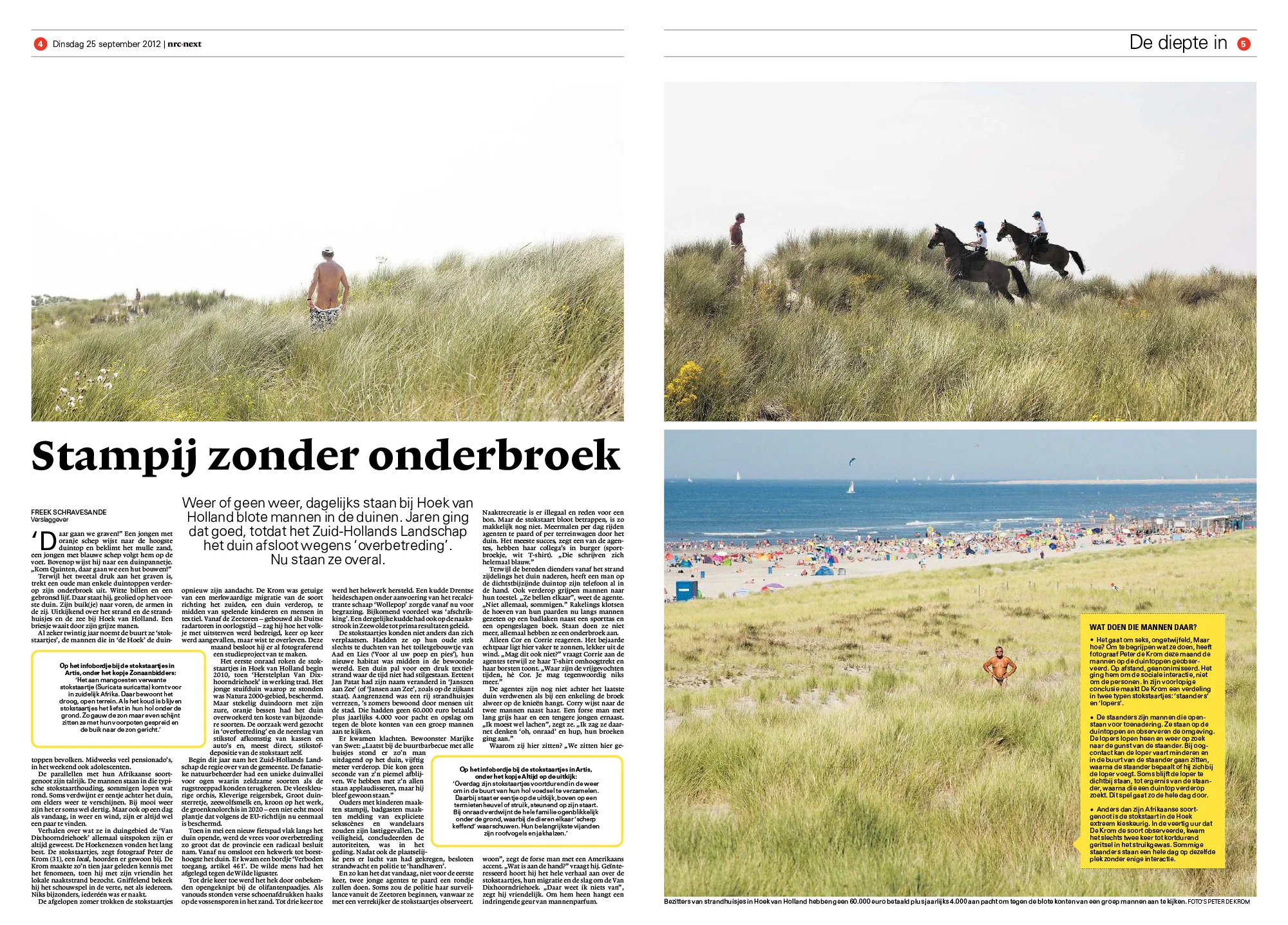 20120925_stokstaartjes_02.jpg