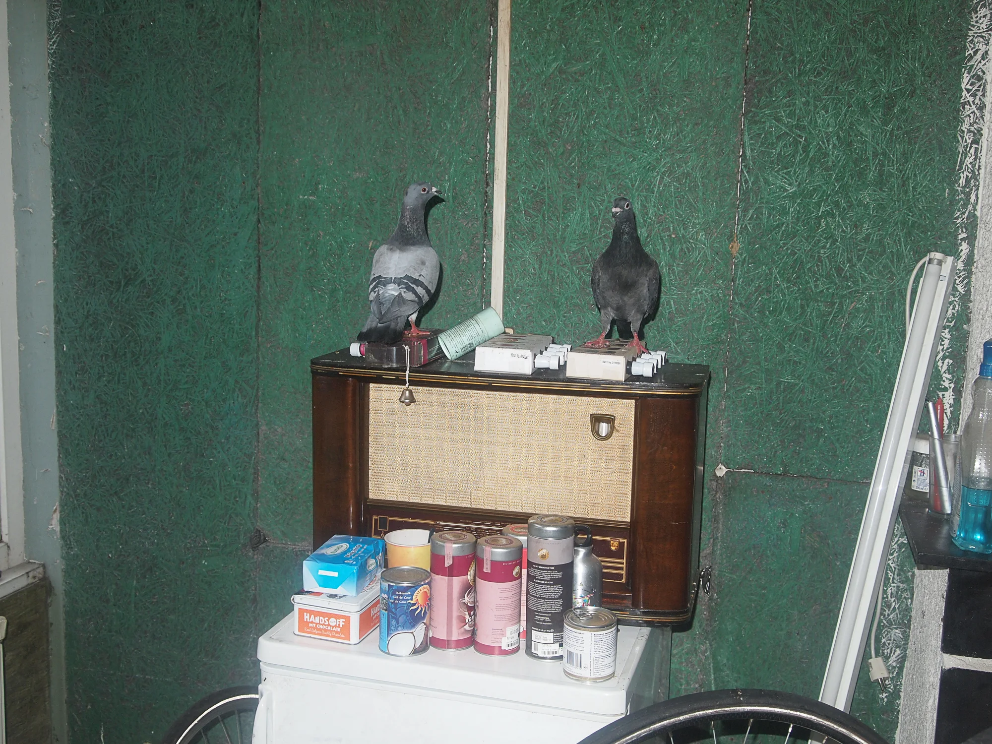 6P1011065-.jpg