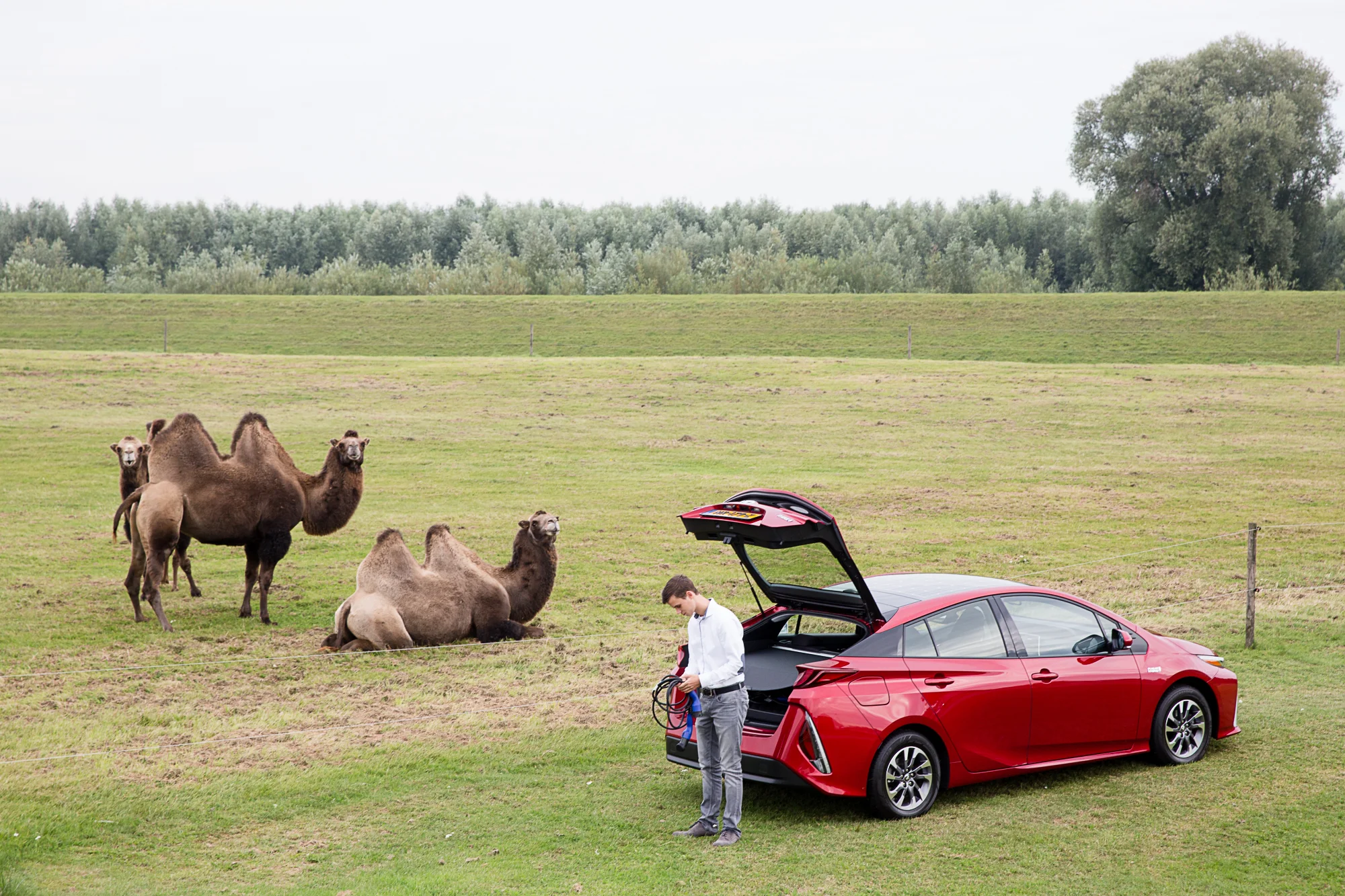 De Toyota Prius Plugin bij Louwman & Parqui in Raamsdonksveer.