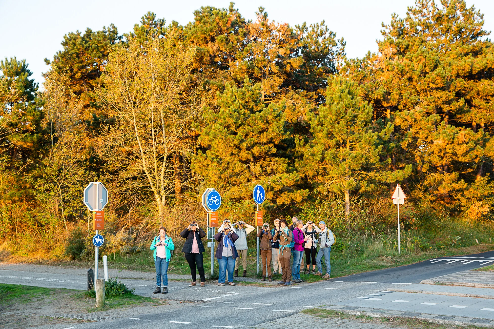 Leren vogels herkennen