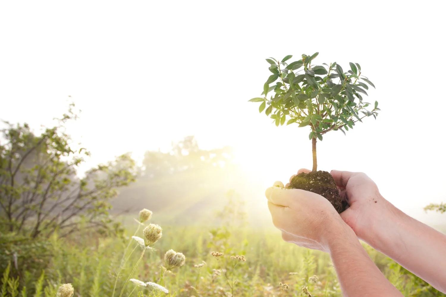 Call for nominations: Desmond Tutu Reconciliation Fellowship 2018