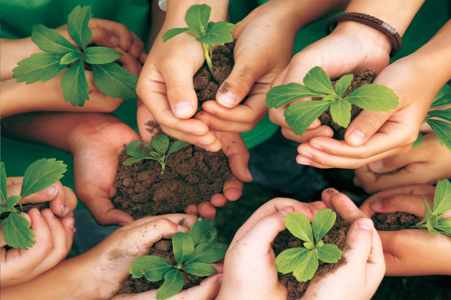 Congratulations to shortlisted nominees of DTRF 2018