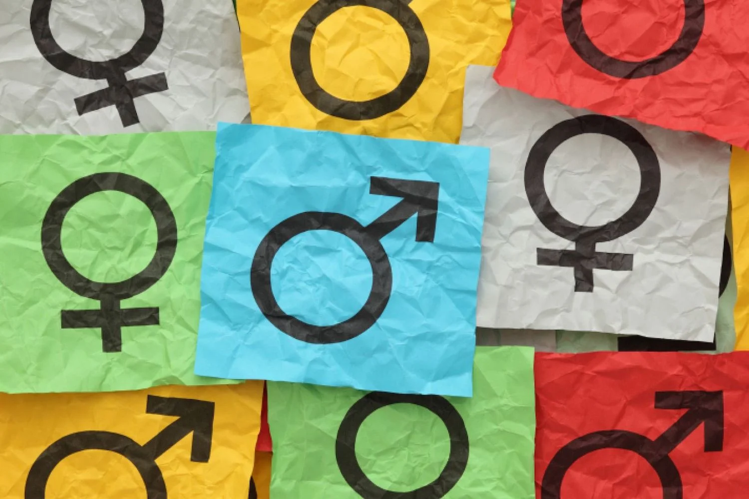 banner-gender-diversity.jpg