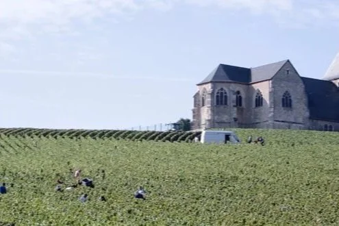 chavot+vineyard.jpg