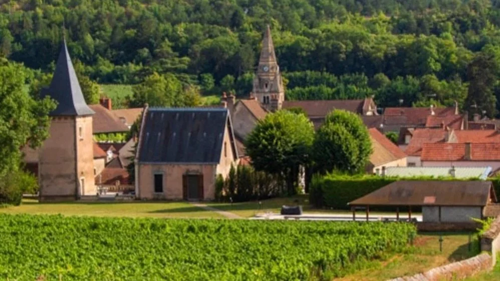 burgundy village.jpg