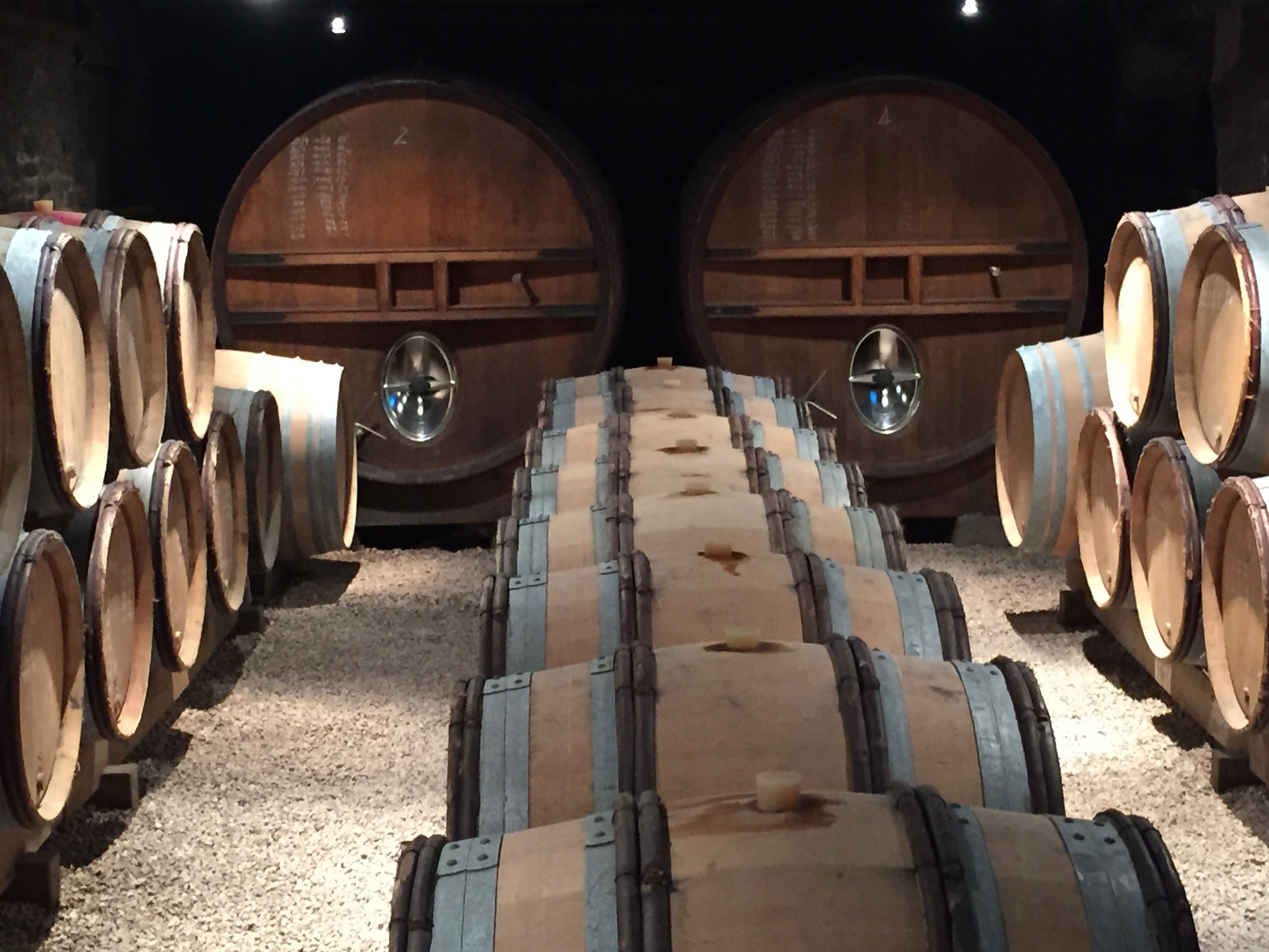 Gorgeous cellar, gorgeous wines at Chateau des Rontets