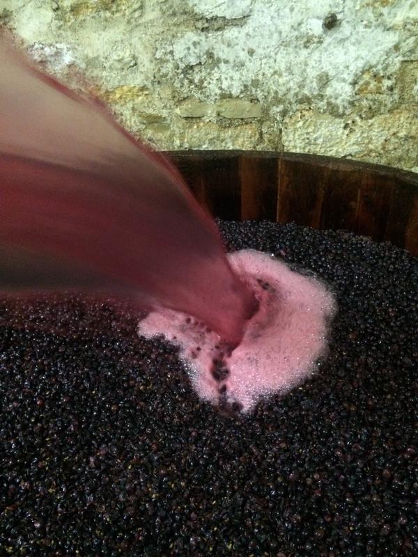 Pumping over some Vosne-Romanée at Domaine A-F Gros