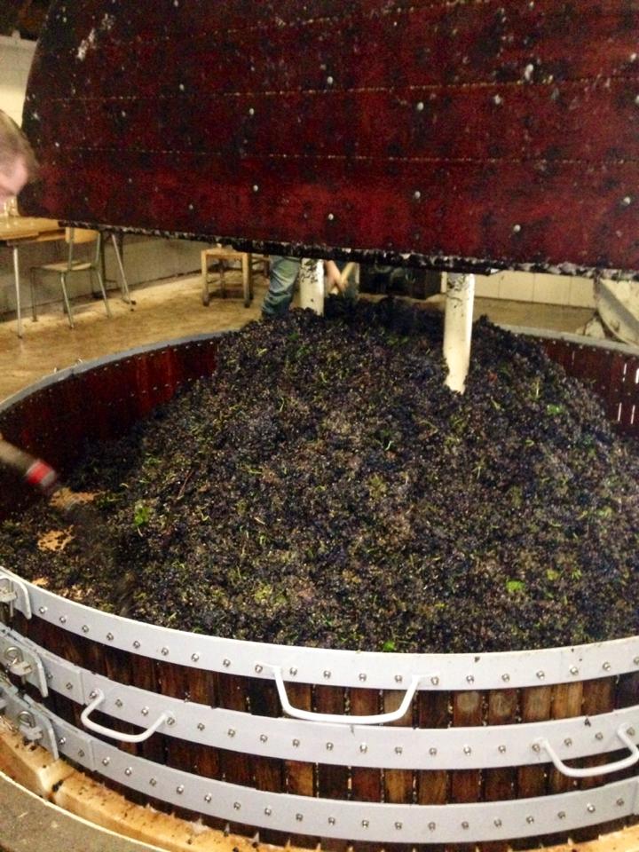 The last load in the press for 2015 at Champagne Laherte Frères