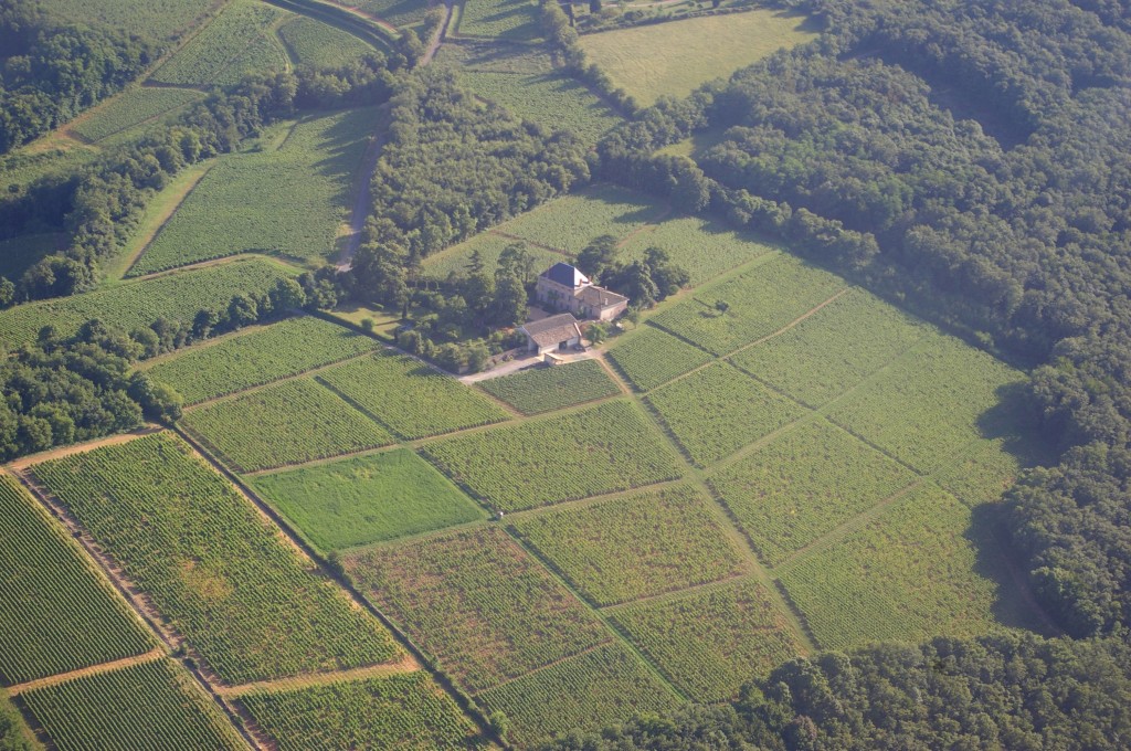 Aerial view of Chateau des Rontets and the Clos Varambon