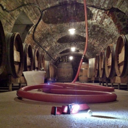 The cellar at Laval (and that's all there is - the entire production is about 600 cases!)